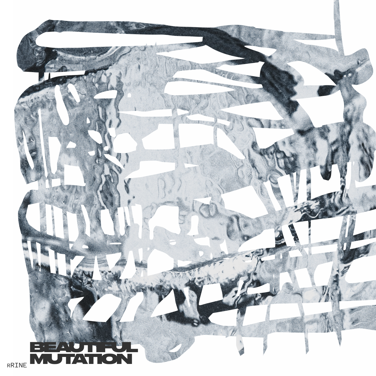 rrine beautiful mutation album artwork