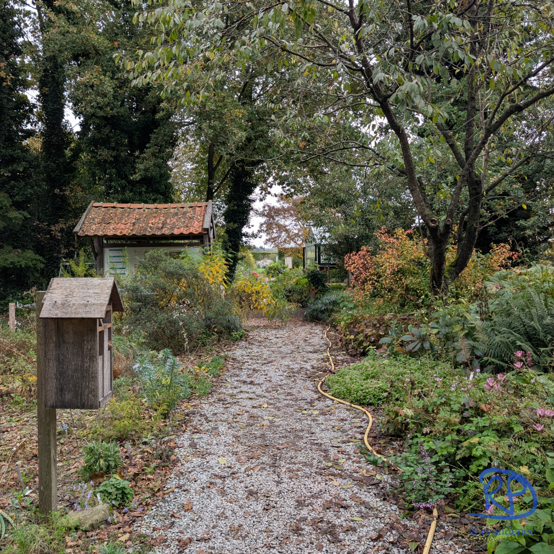 fb_square_watermarked_PXL_20251016_104544229.MP (1).jpg