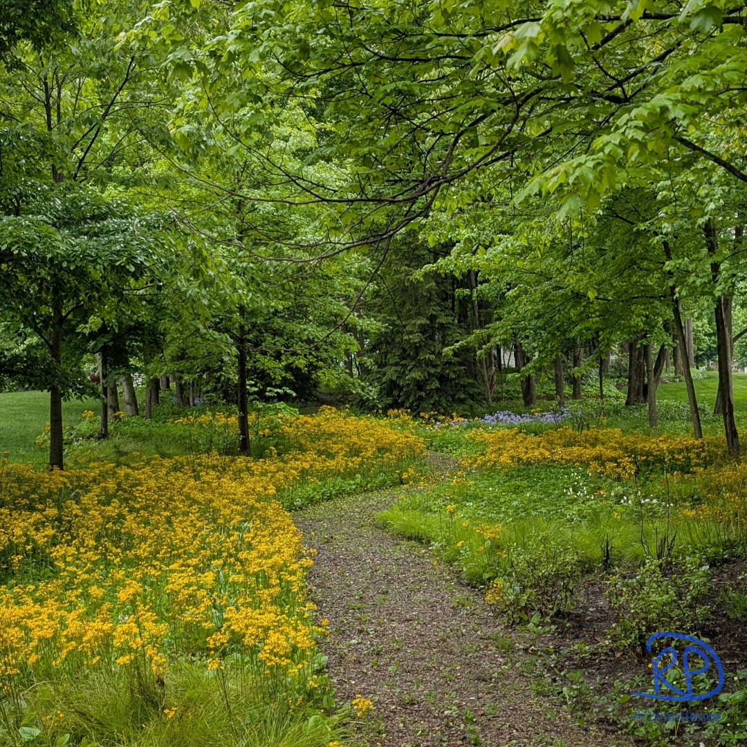 fb_square_watermarked_PXL_20250515_135114727.MP.jpg