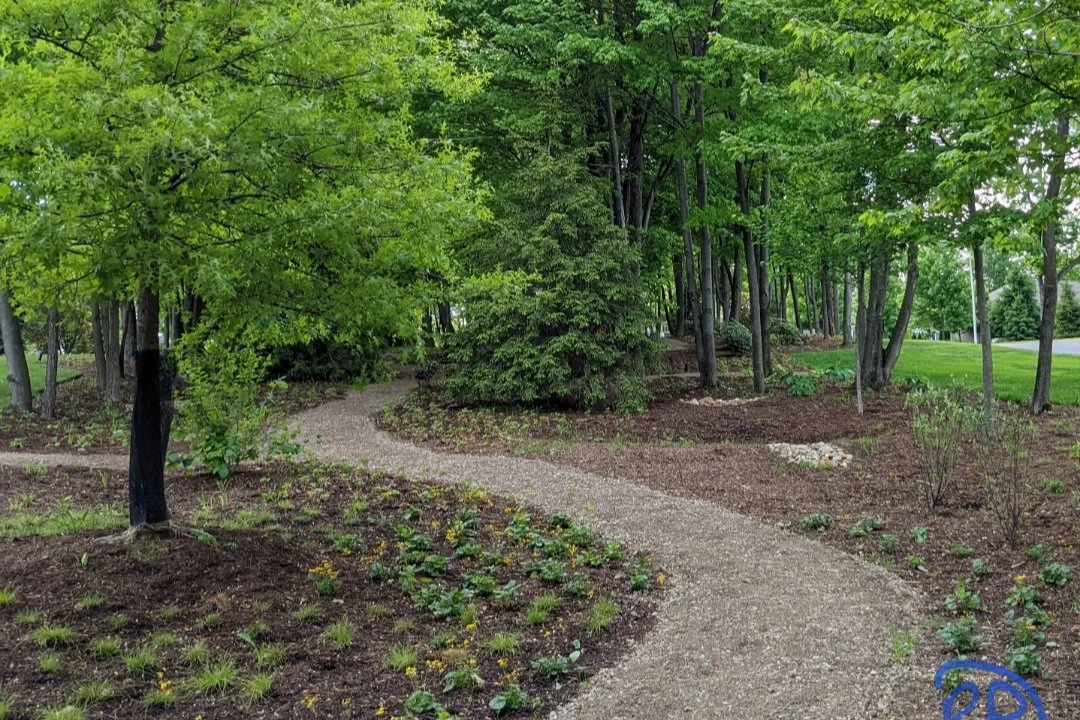 Putting the Native Plants Back