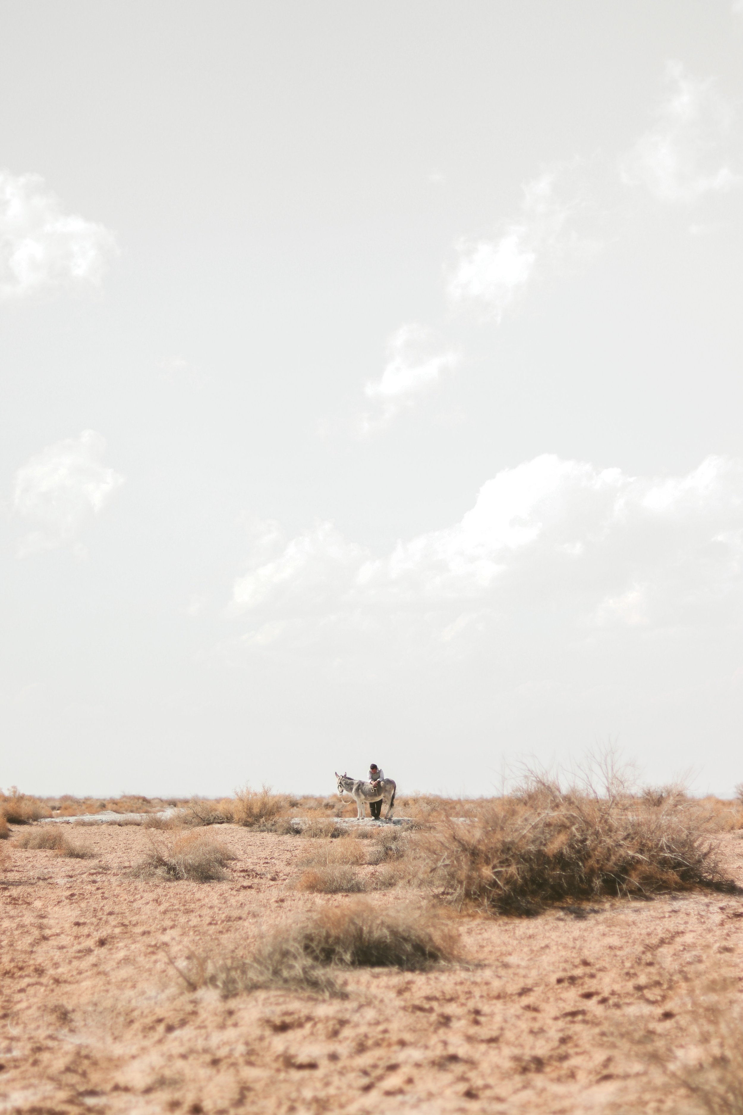 IMG_7436 Lightroom.jpg