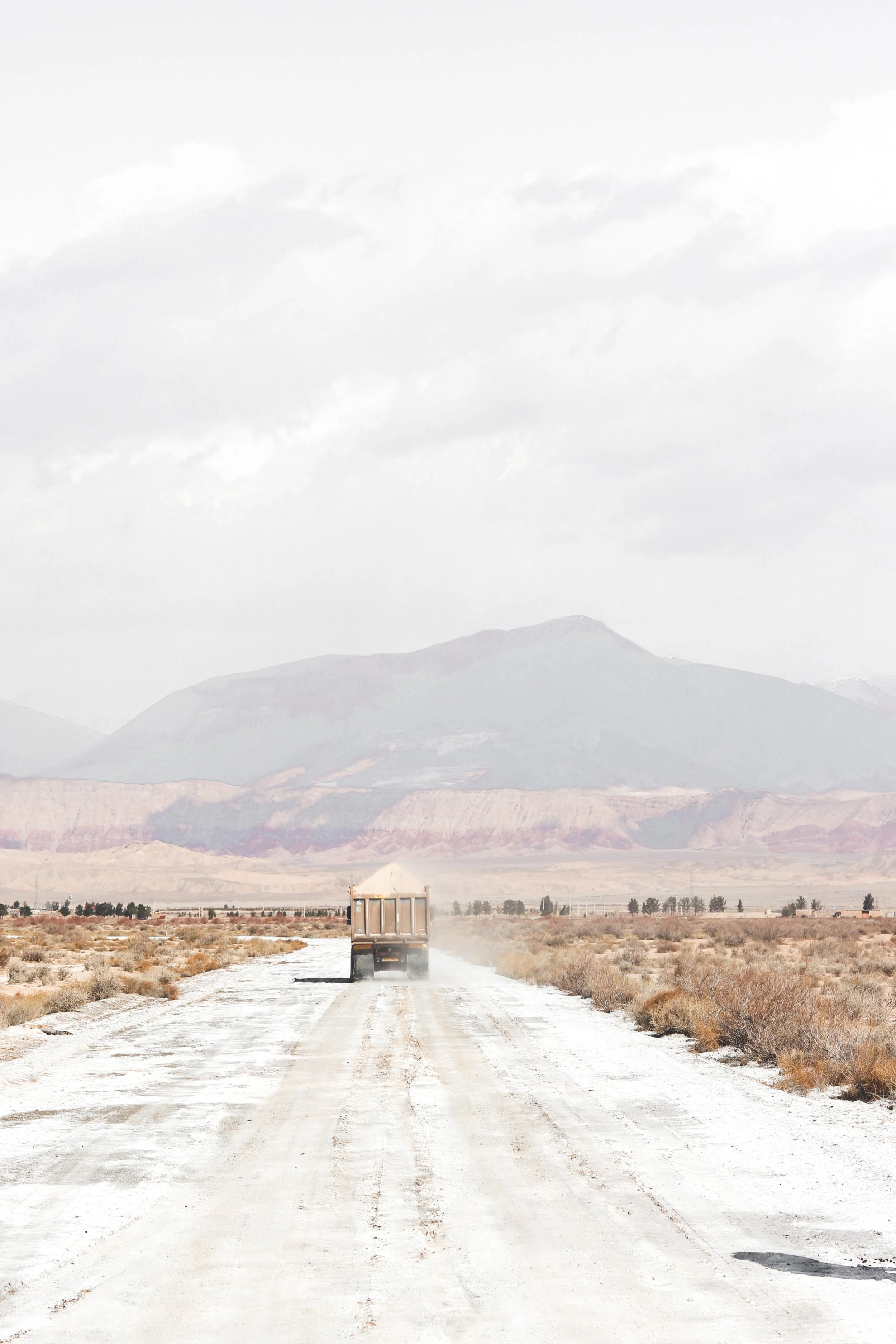 IMG_7424 Lightroom.jpg