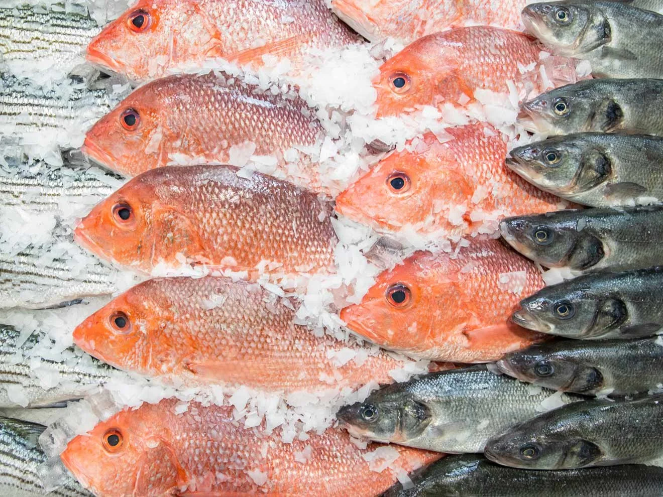 what-makes-our-seafood-different-660x495@2x (1).jpg