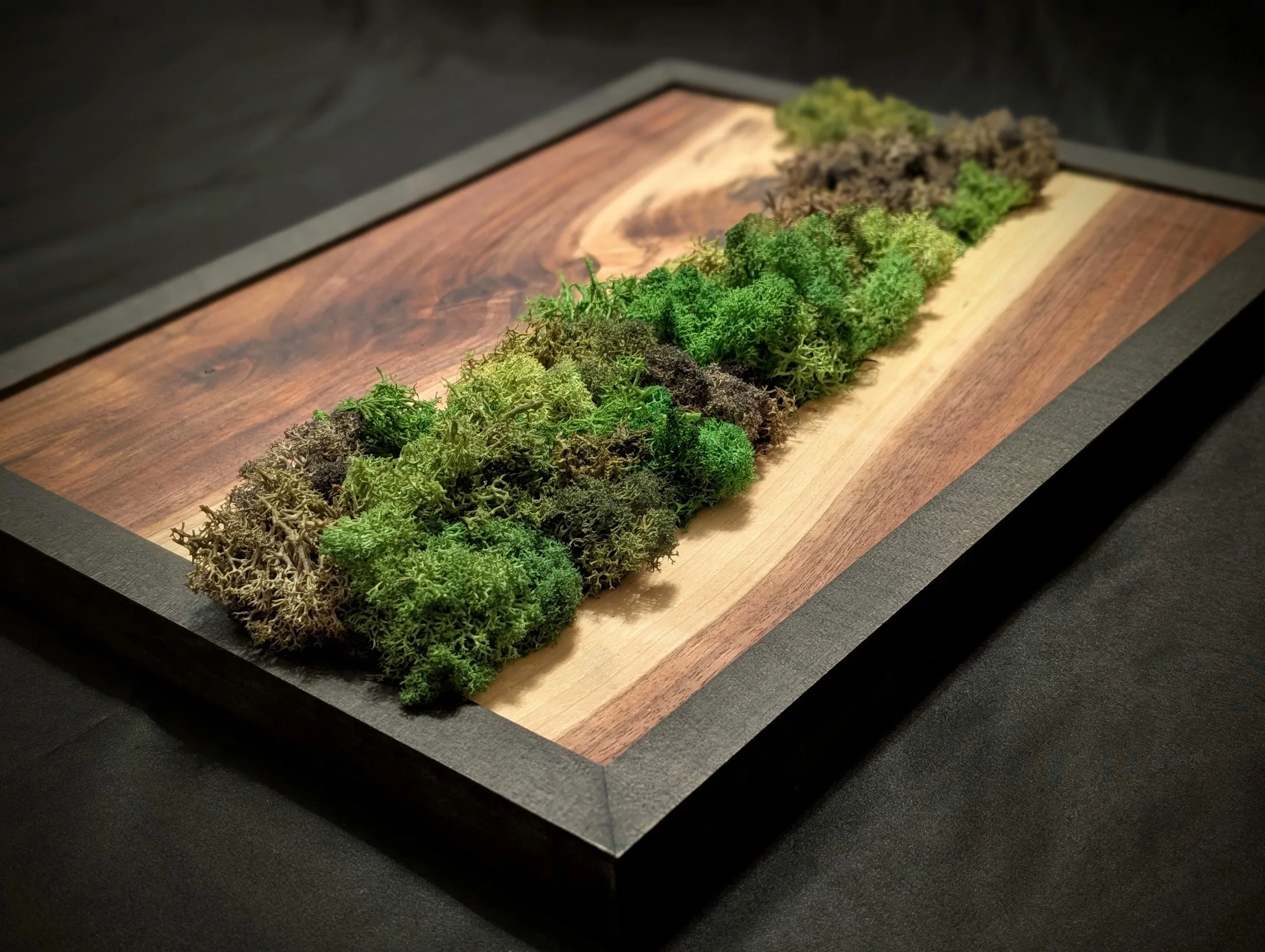 Live Edge Moss Wall Art