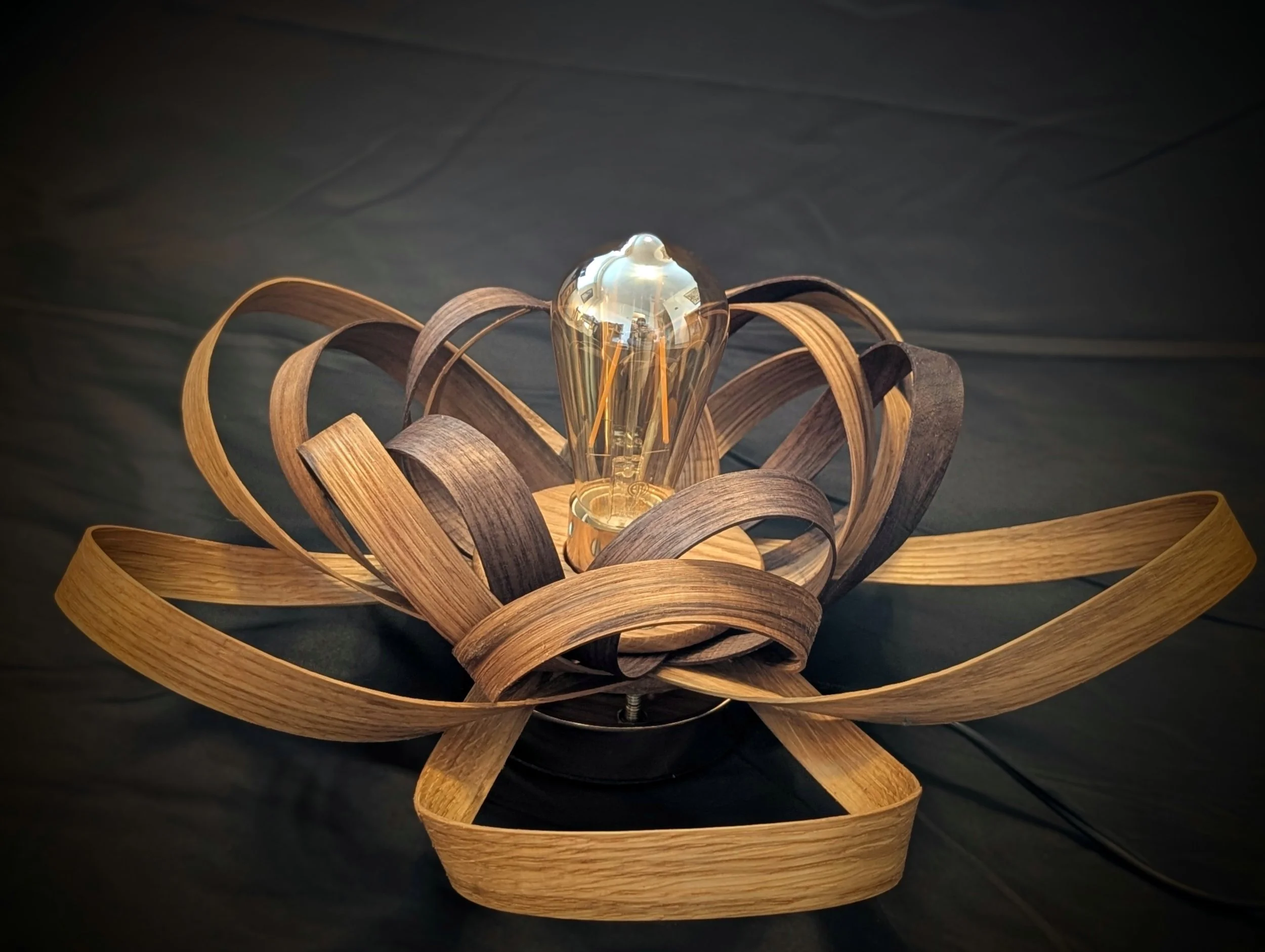 steam_bent_lamp_20260509_143540175.PORTRAIT~2.jpg