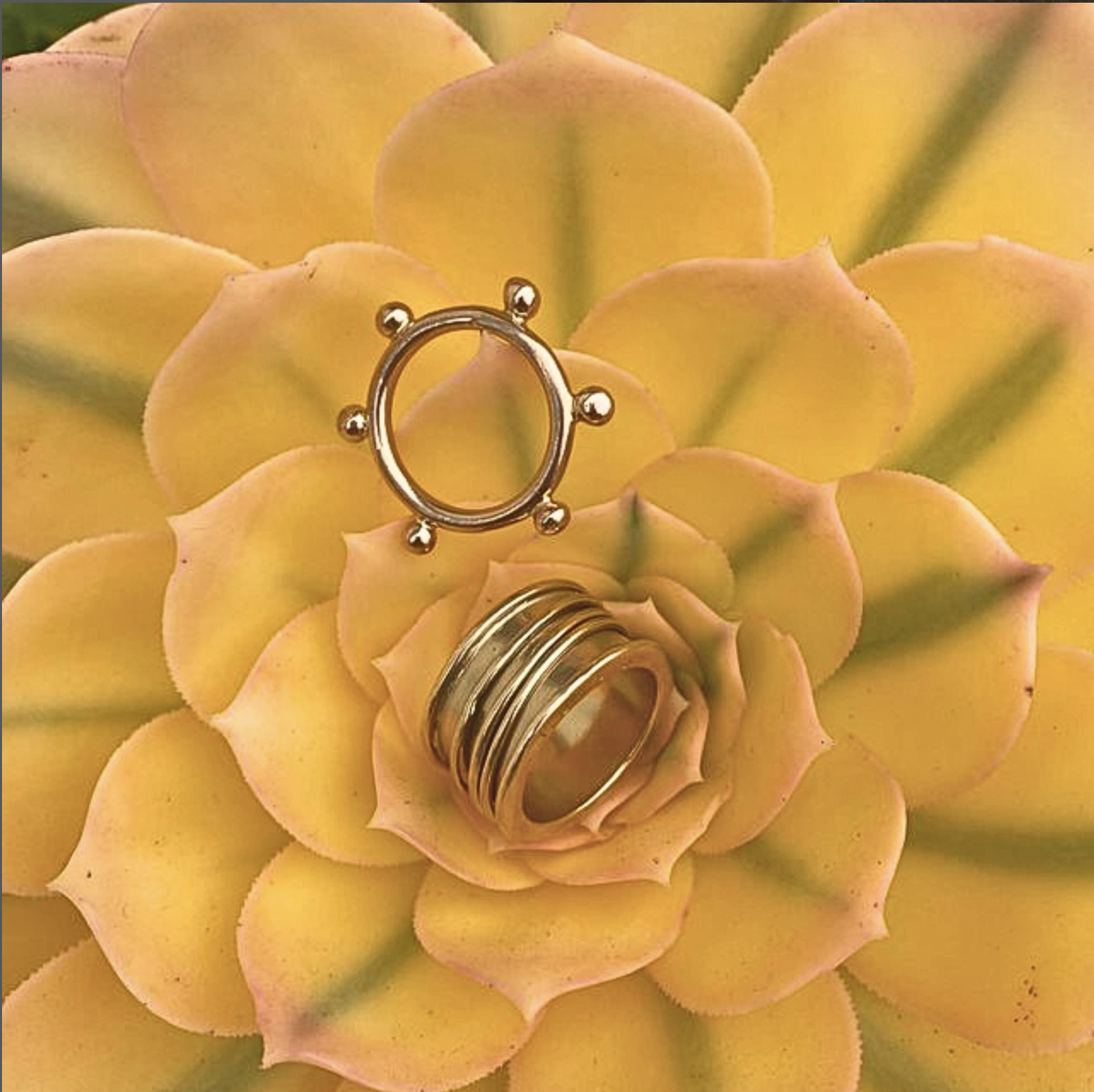 ib designs portfolio - jewelry and flower.png