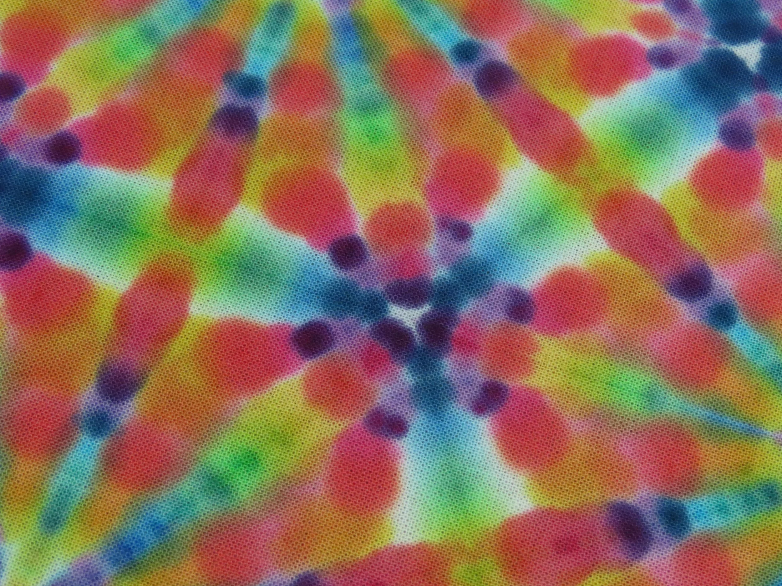 IMG_2308.jpg