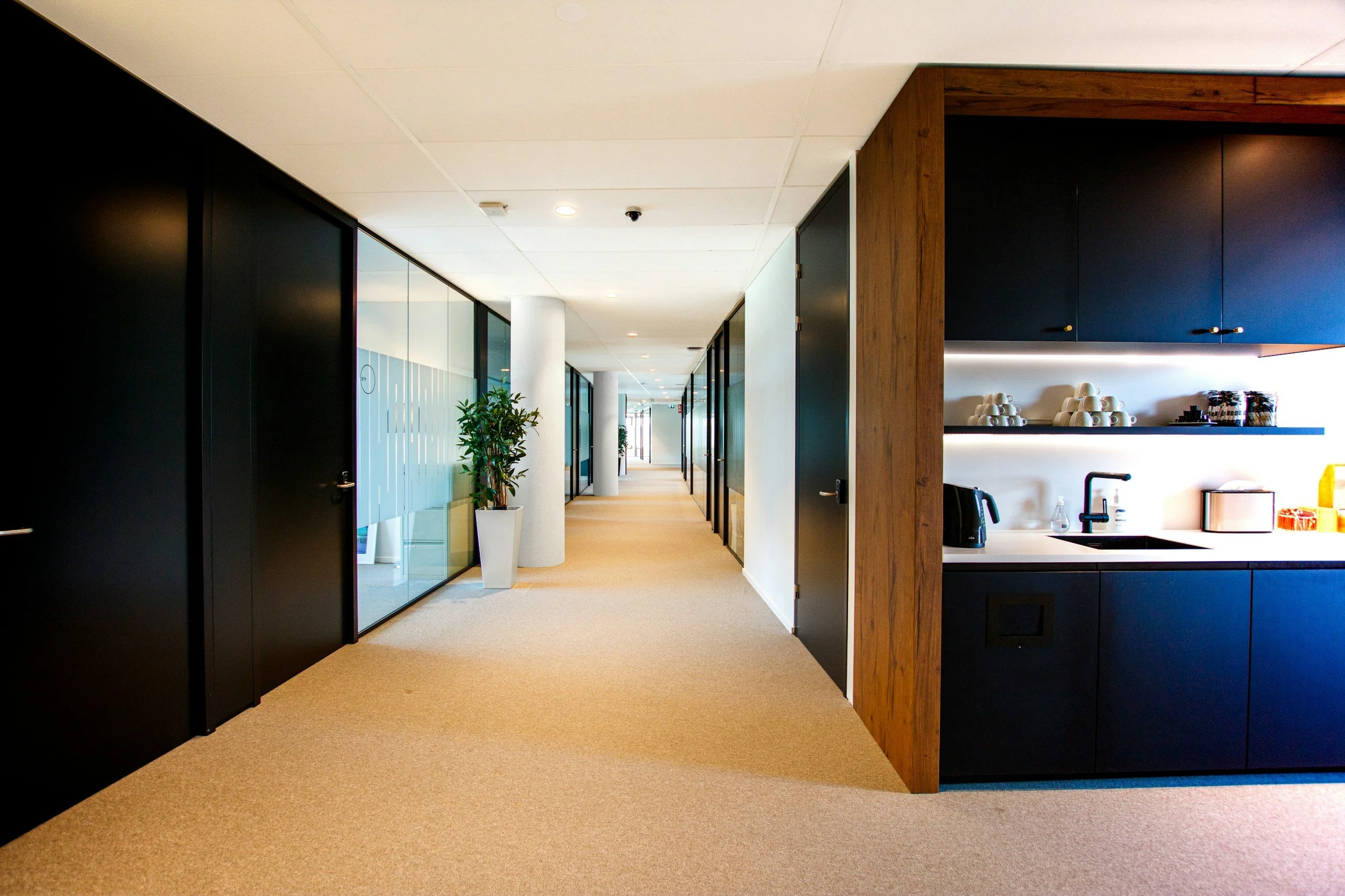 Modern office corridor with carpeted floor, glass walls, potted plants, and a kitchenette area to the right with black cabinets and open shelves.