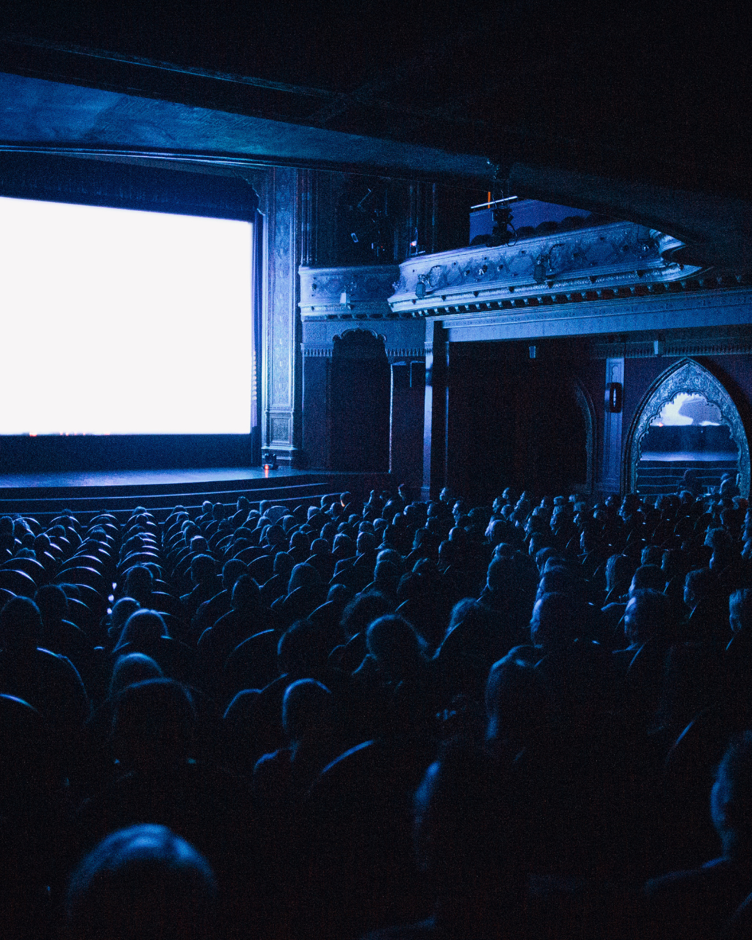 A cinema audience with the light of the screen shining on them in the dark in a historic cinema