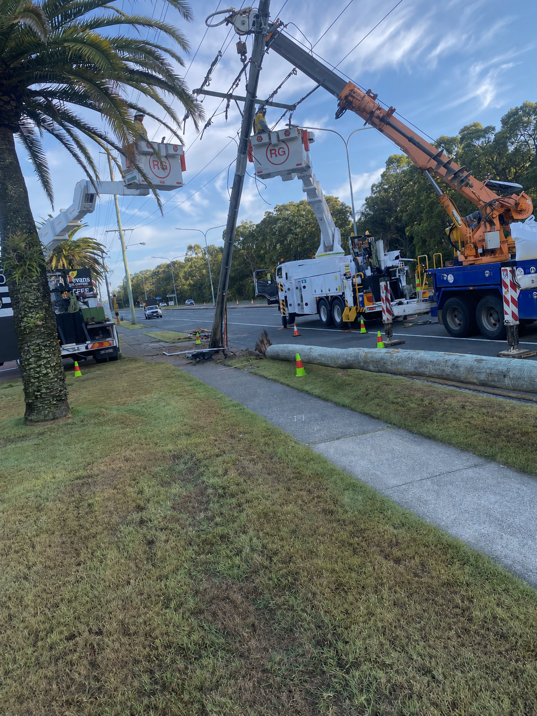 Workers repair a downed power pole on the side of a road, with a crane truck lifting the pole. The pole has fallen across the sidewalk and grass, with orange safety cones around the work area. There are palm trees and other trees in the background, and a clear blue sky.