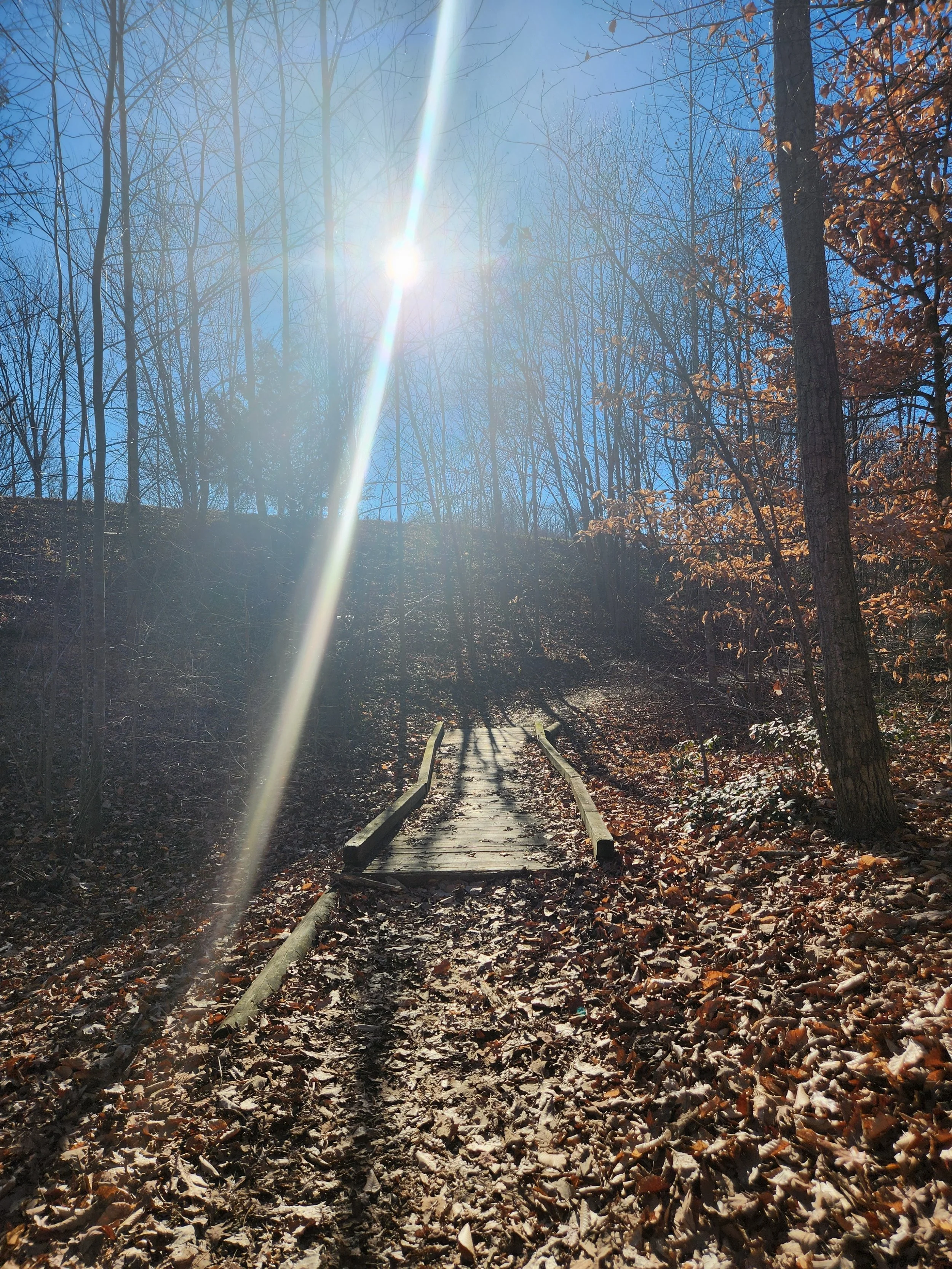 Sustainable Sunshine