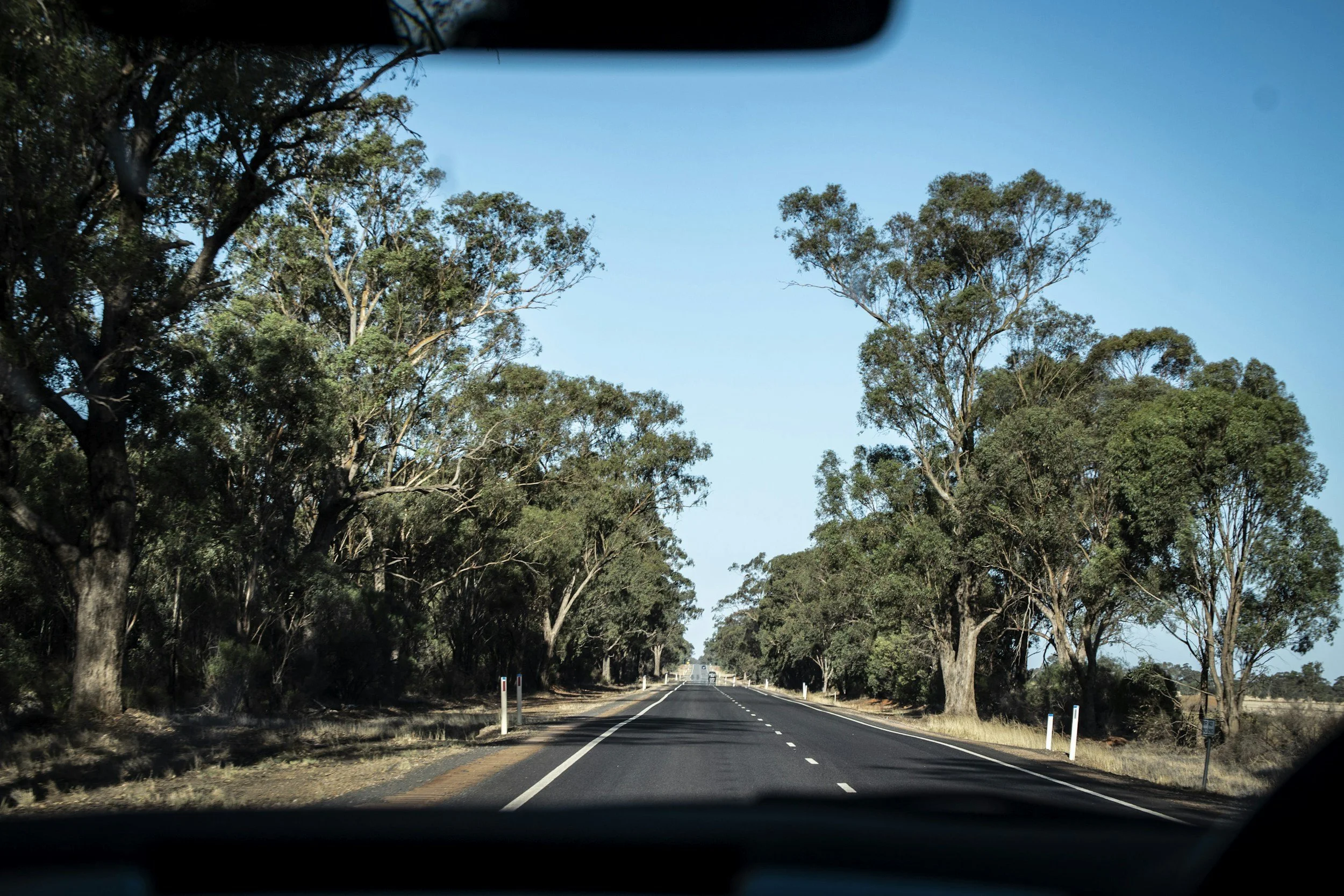 A view of a straight road through a rural area with trees lining both sides under a clear blue sky.