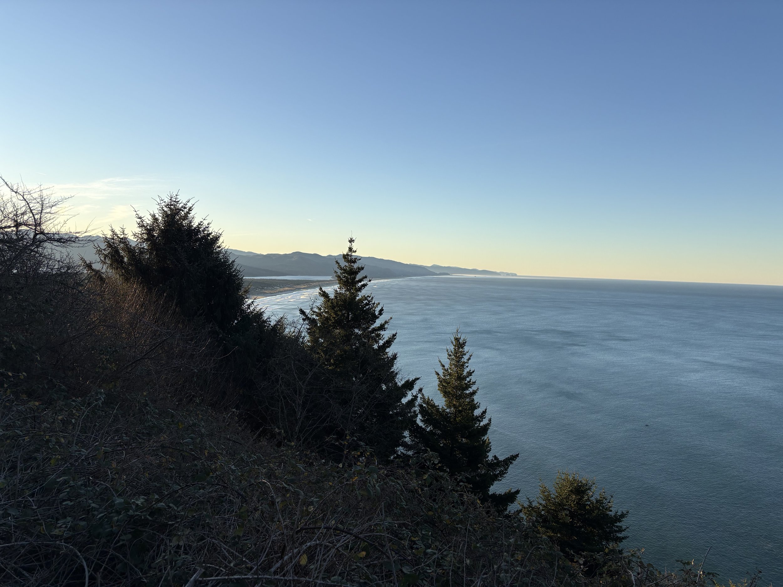 Why I’m Running Against Tina Kotek