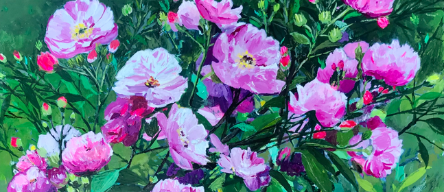 Pink and purple flowers with green leaves on a bush.