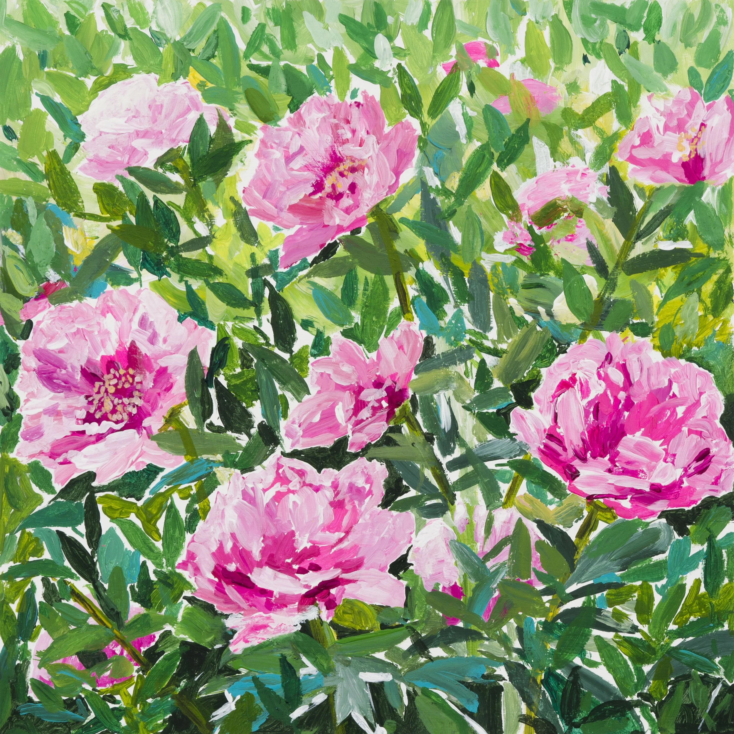 Pink Peonies