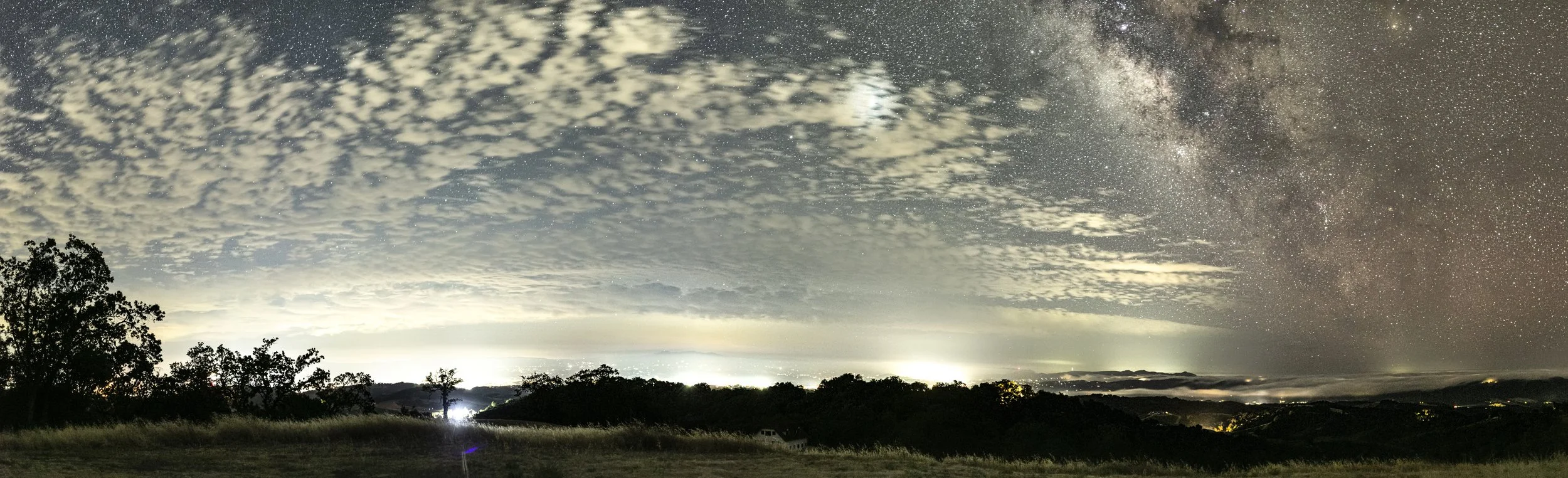 Web - The Milky Way and Jupiter Over Paso Robles.jpg