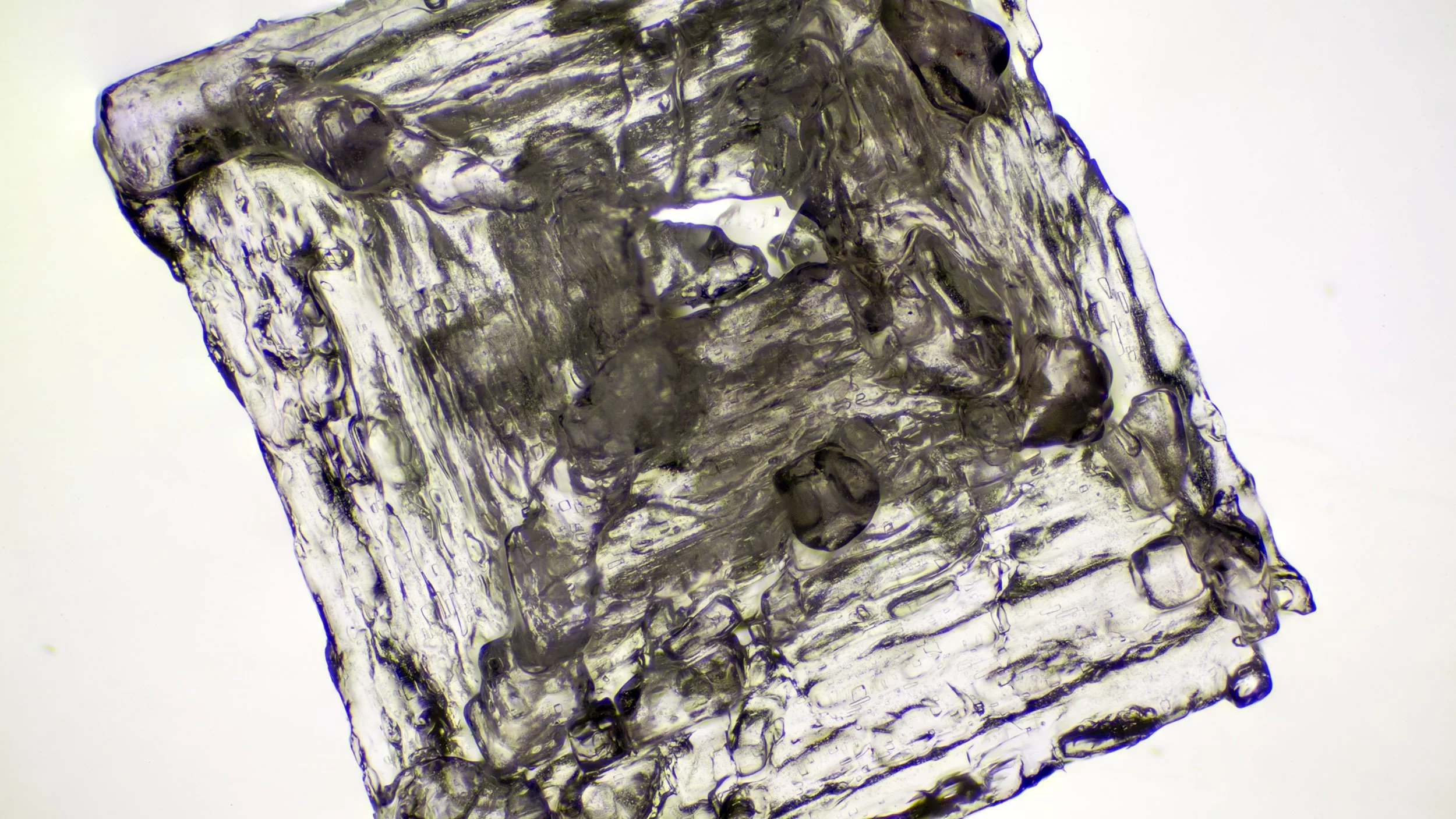 "Maldon Sea Salt Flake - Non Iodized"