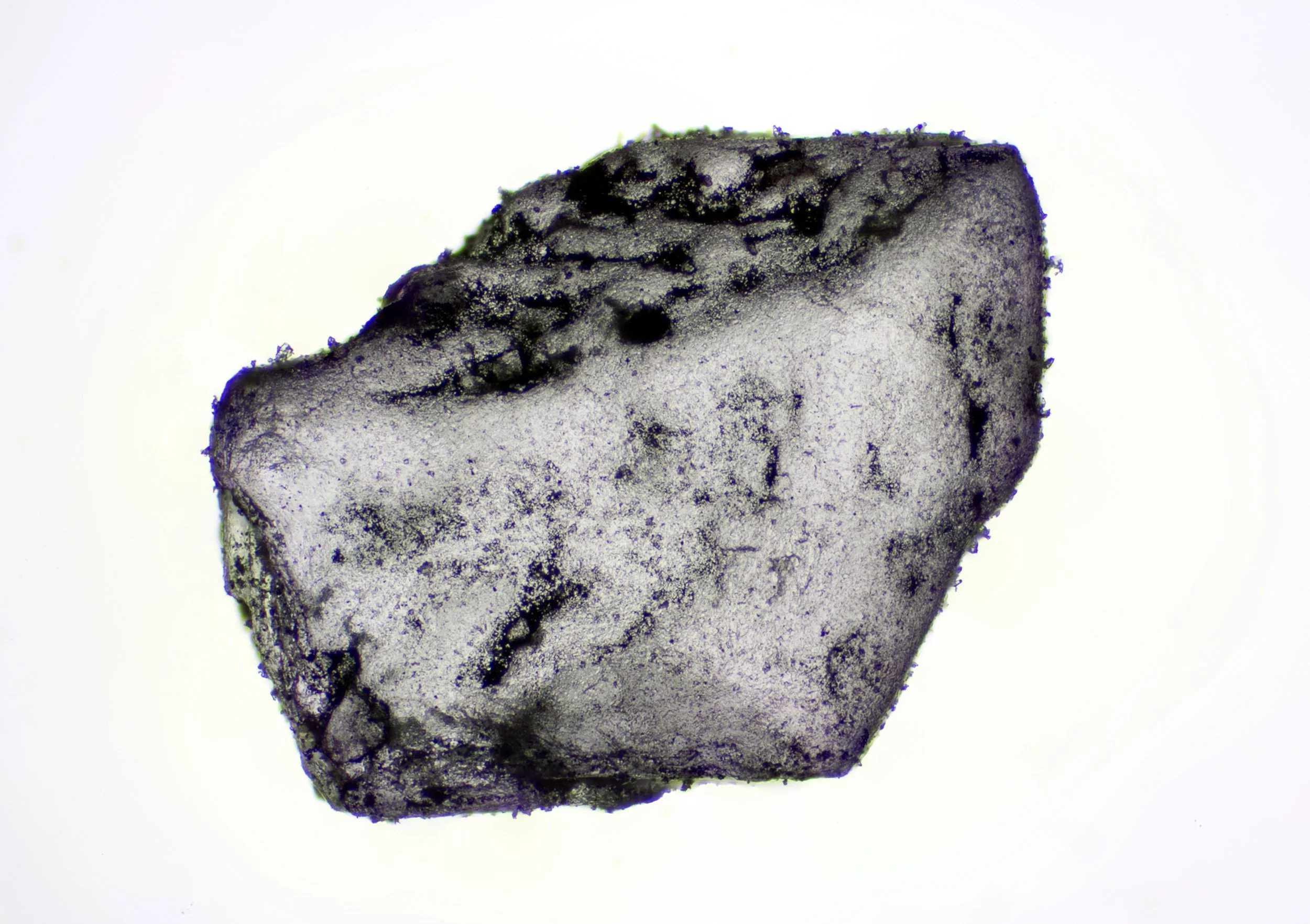 "The Alchemists' Garden - Black Salt"