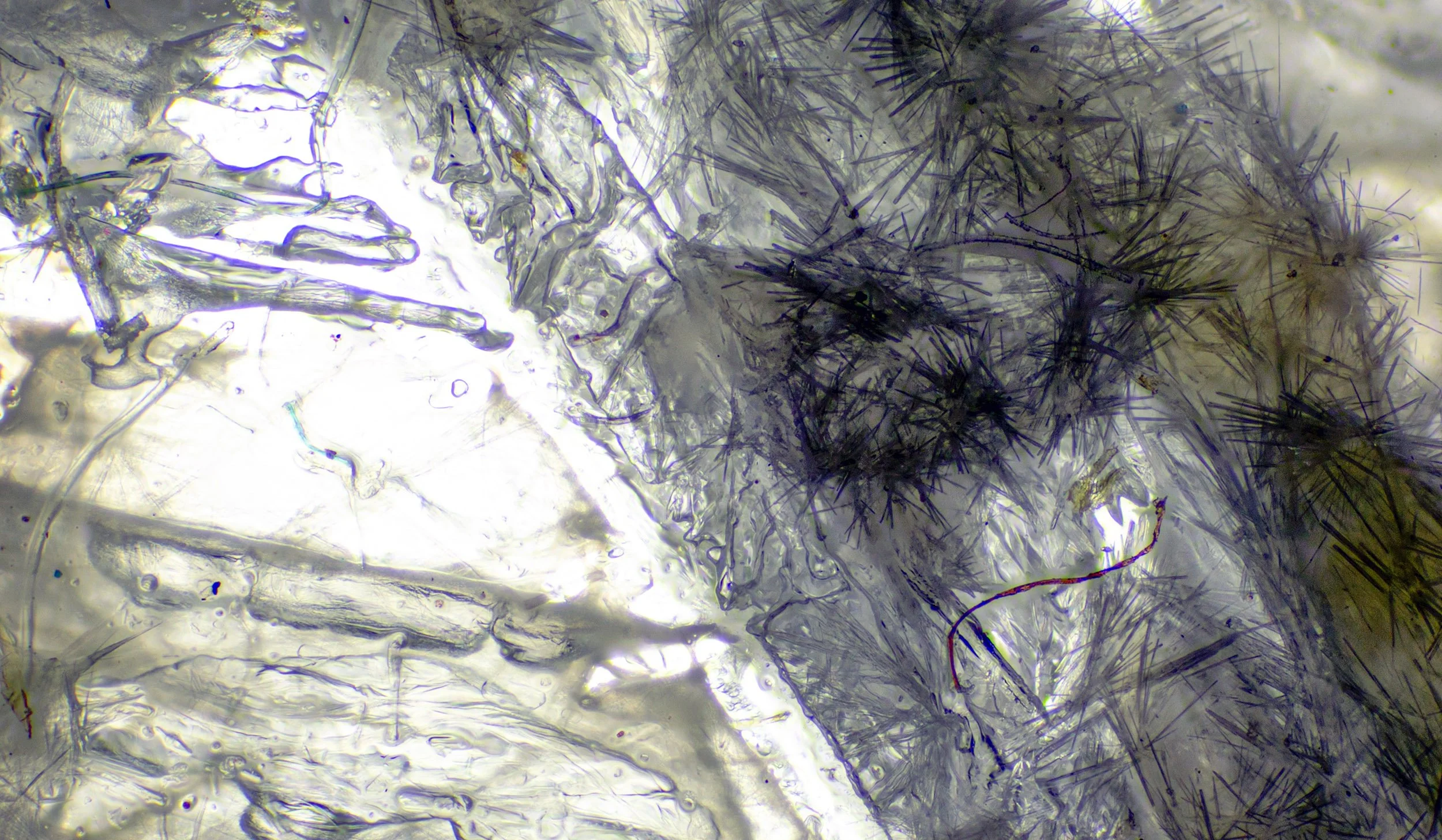 "Crystalized Tarn-X"