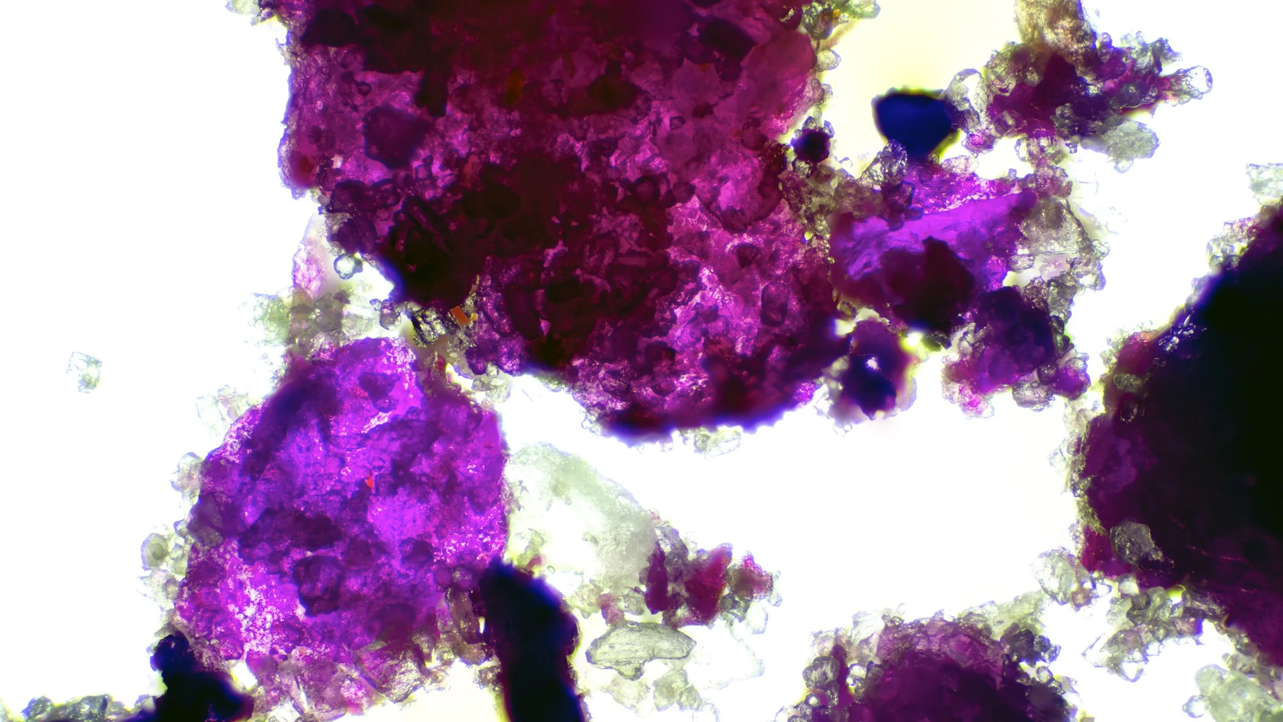 "The Alchemists' Garden - Dragon Fruit Salt"