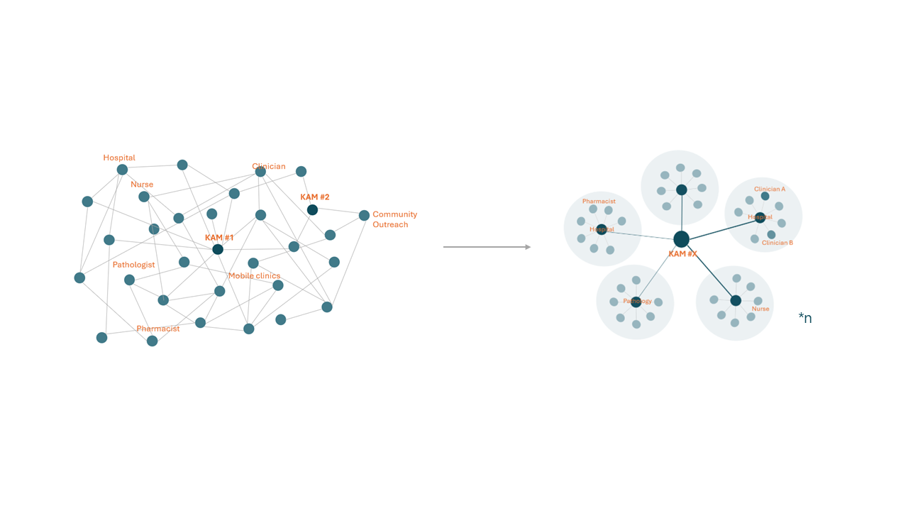 Before-and-after diagram: a tangled network of healthcare providers and hospitals on the left, reorganised into clear clusters around key account managers on the right.