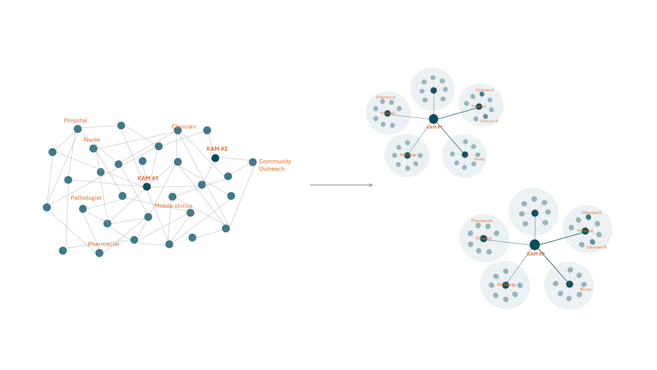 Tangled care network transformed into clear provider clusters around each key account.