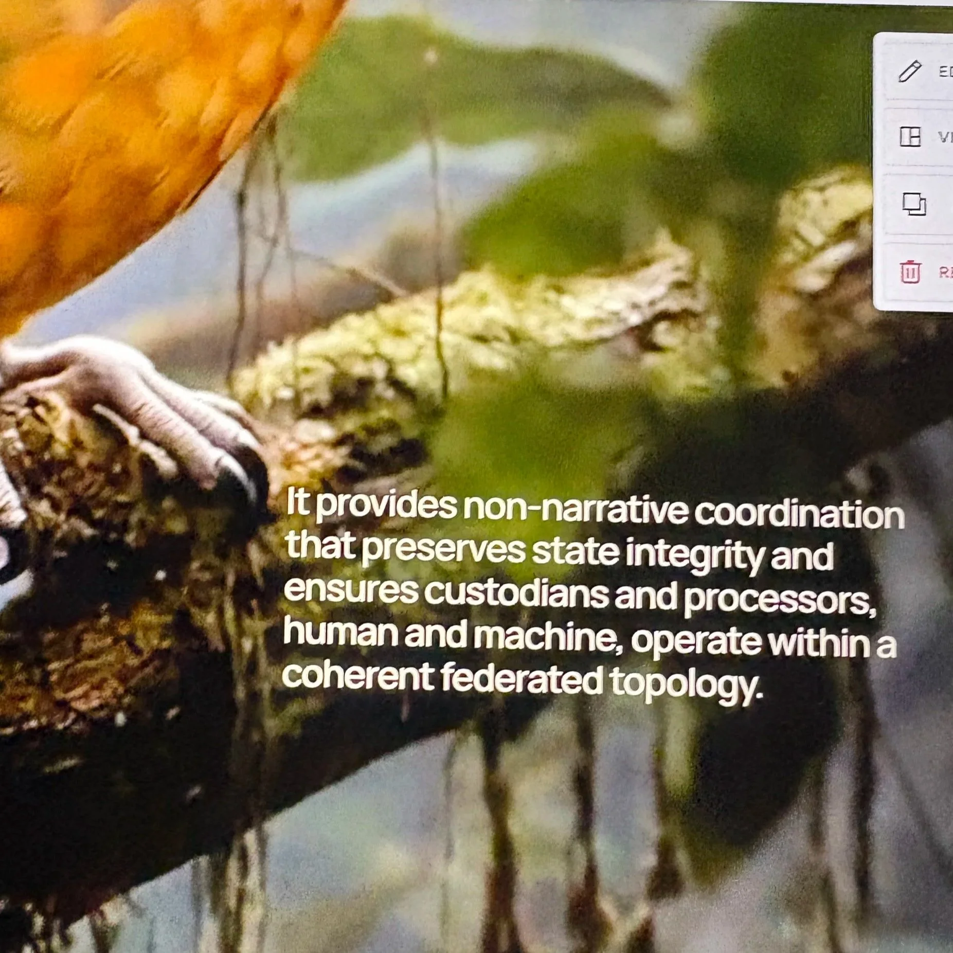 Close-up of a spider on a branch with blurred background of trees and sky, alongside text about non-narrative coordination and maintaining a coherent topology.
