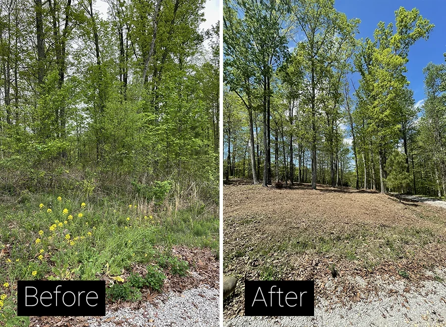 008-forestry-mulching-before-and-after.webp