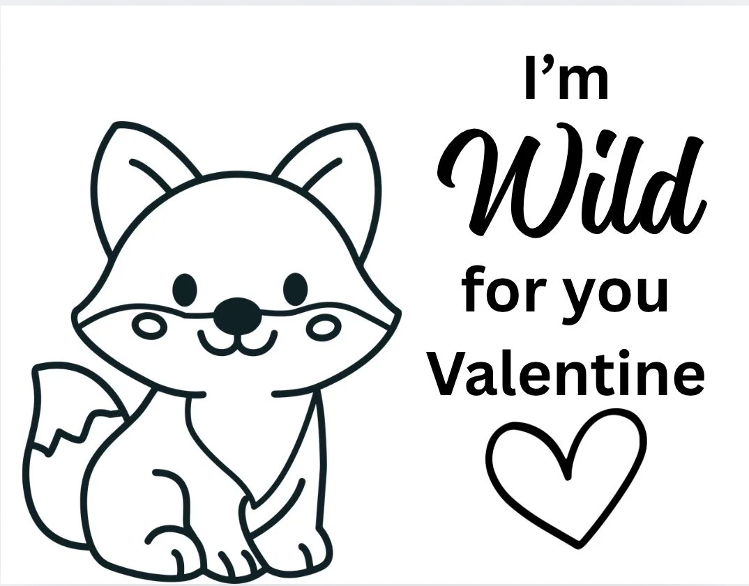 IMG_0188.PNG