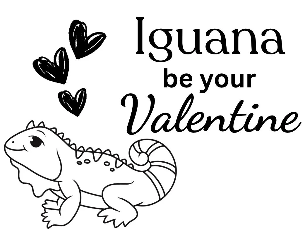 IMG_0192.PNG