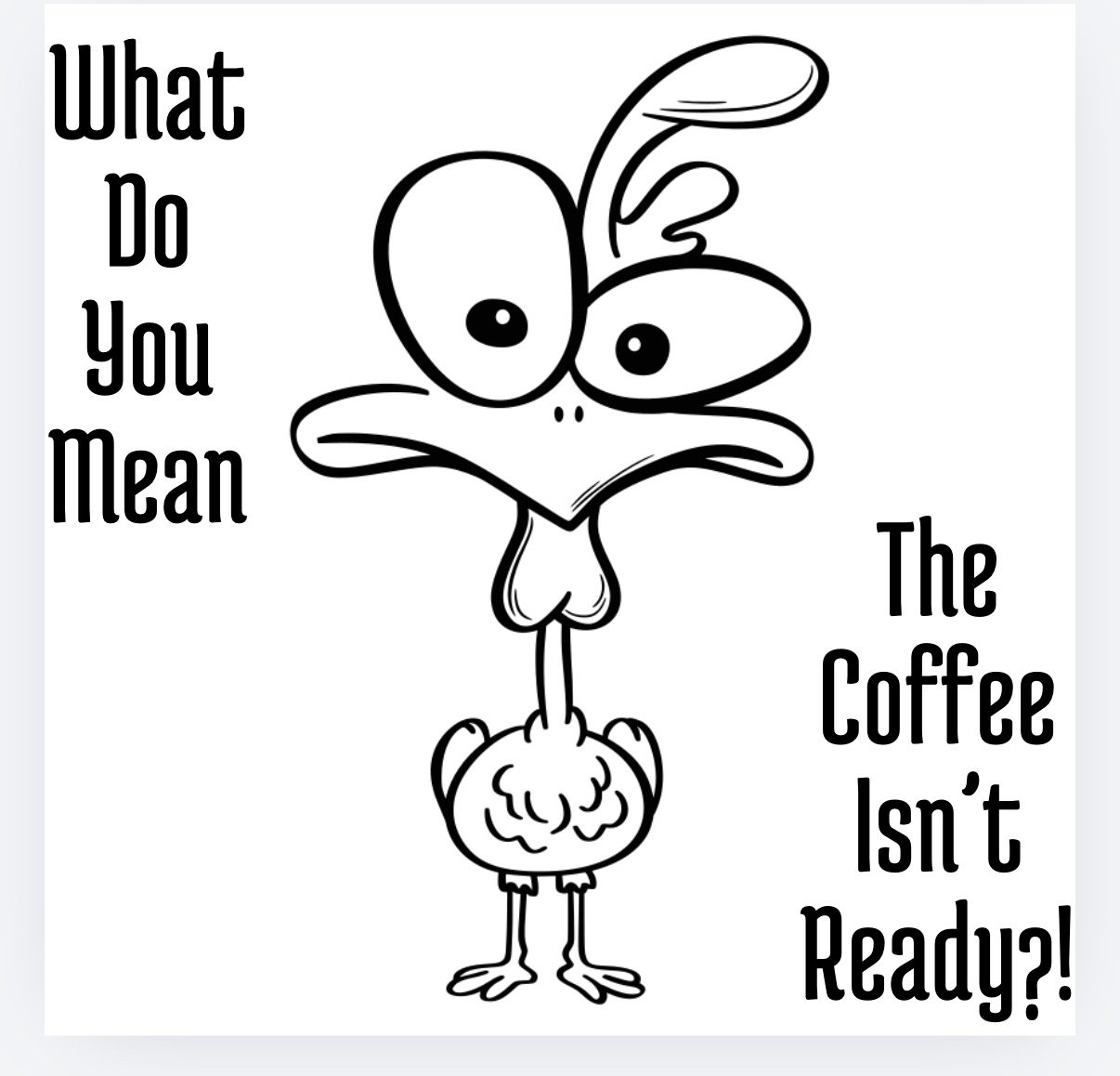 IMG_0032.PNG