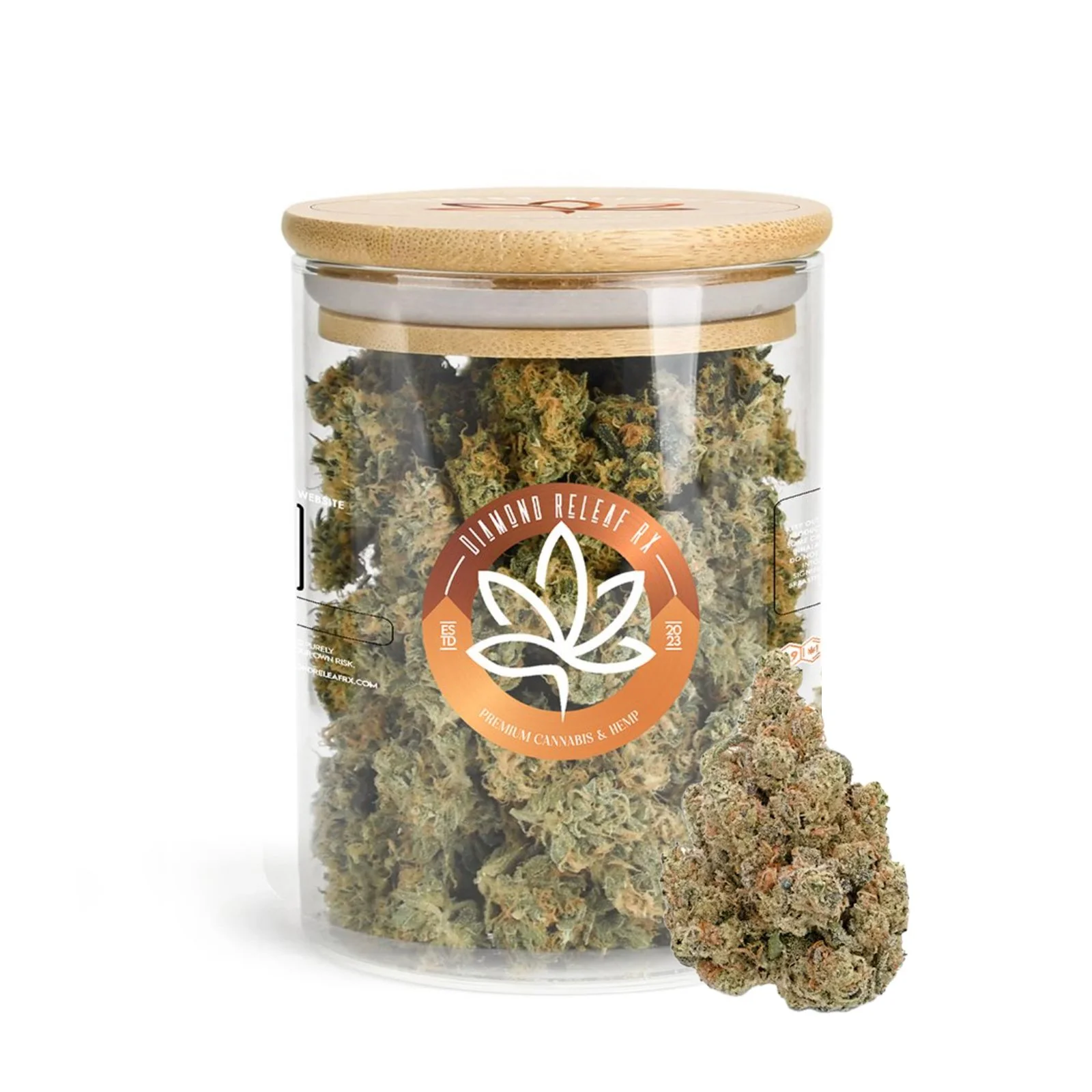 Trapzilla Mock Up.jpg