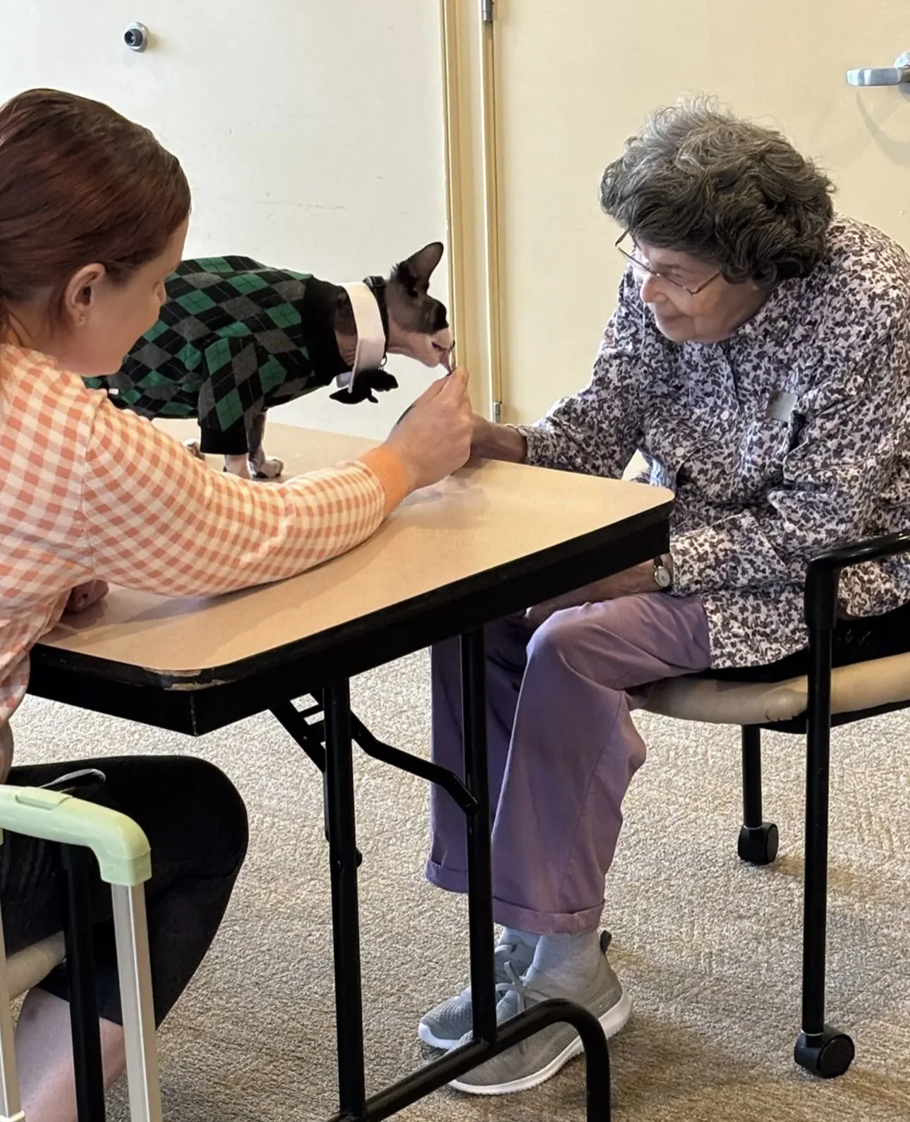 A cat in a plaid shirt licking the hand of an elderly woman, with a caregiver observing nearby.