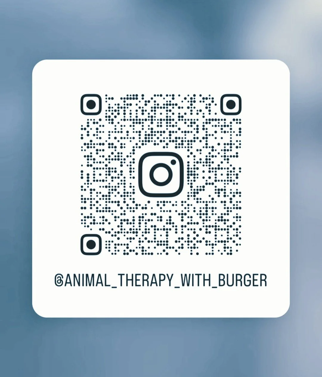 Instagram QR code with the handle '@animal_therapy_with_burger' written below it.