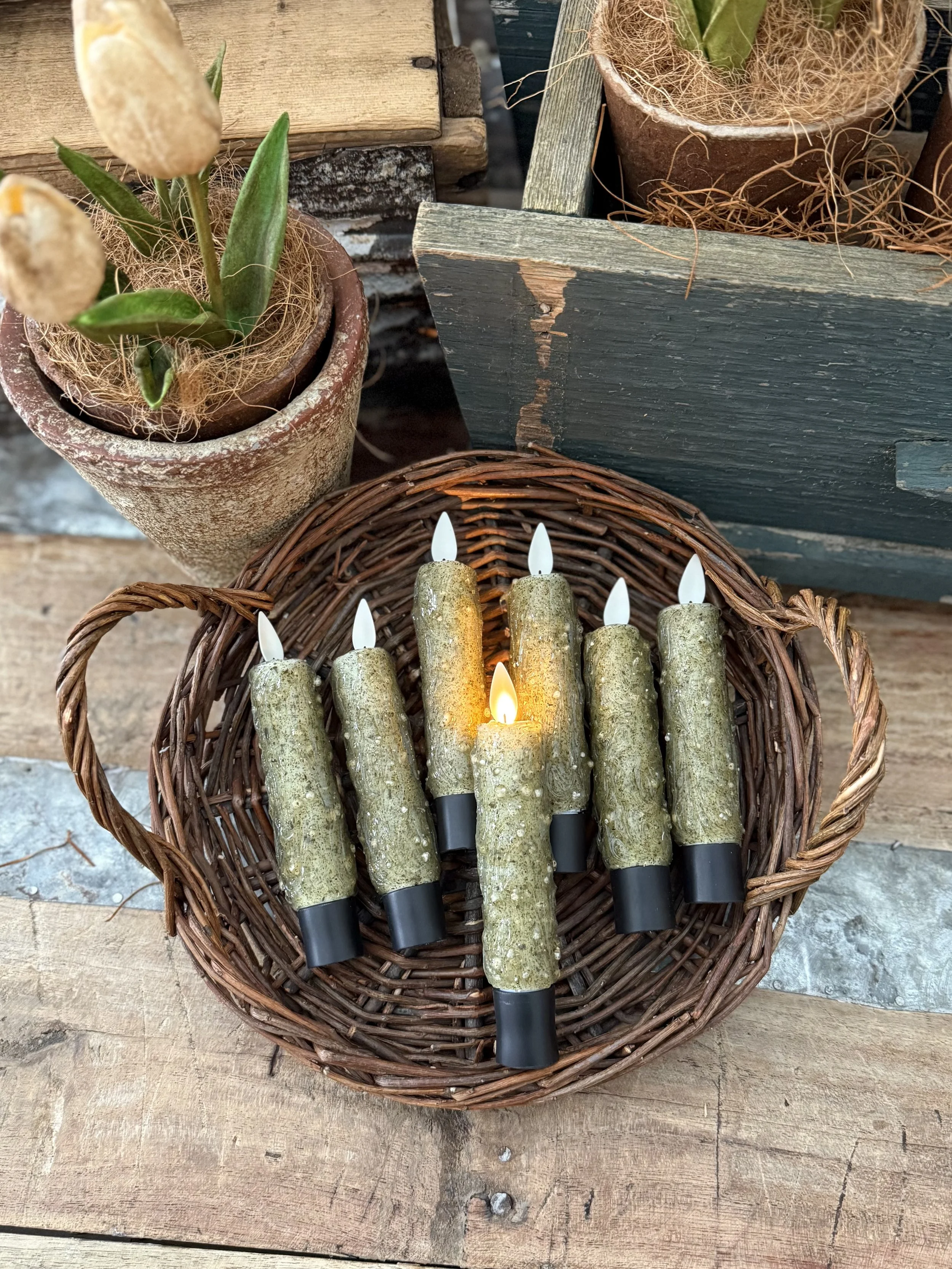 One Sage Green Candlestick