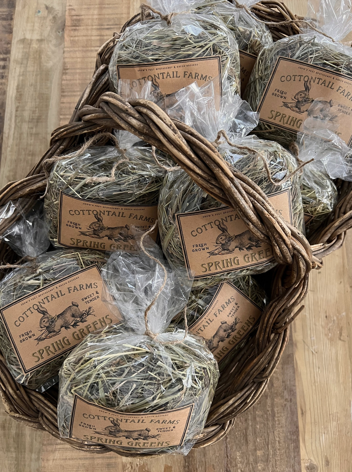 Primitive Dried Spring Grass