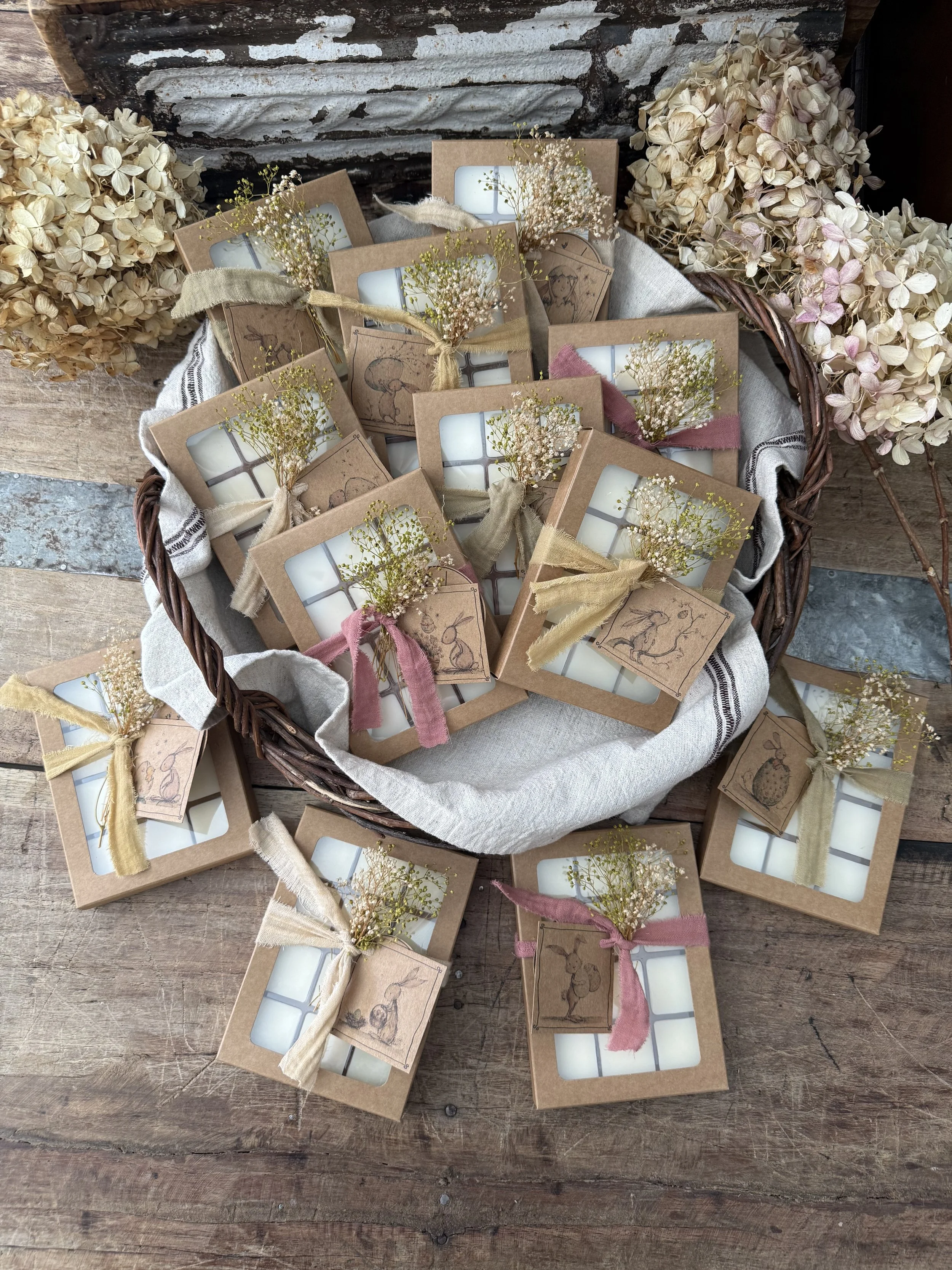 IMG_5925.jpeg (Copy) (Copy) (Copy) (Copy) (Copy) (Copy) (Copy) (Copy)