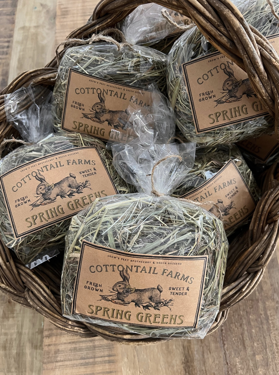 Screenshot 2026-02-28 at 8.53.28 AM.png