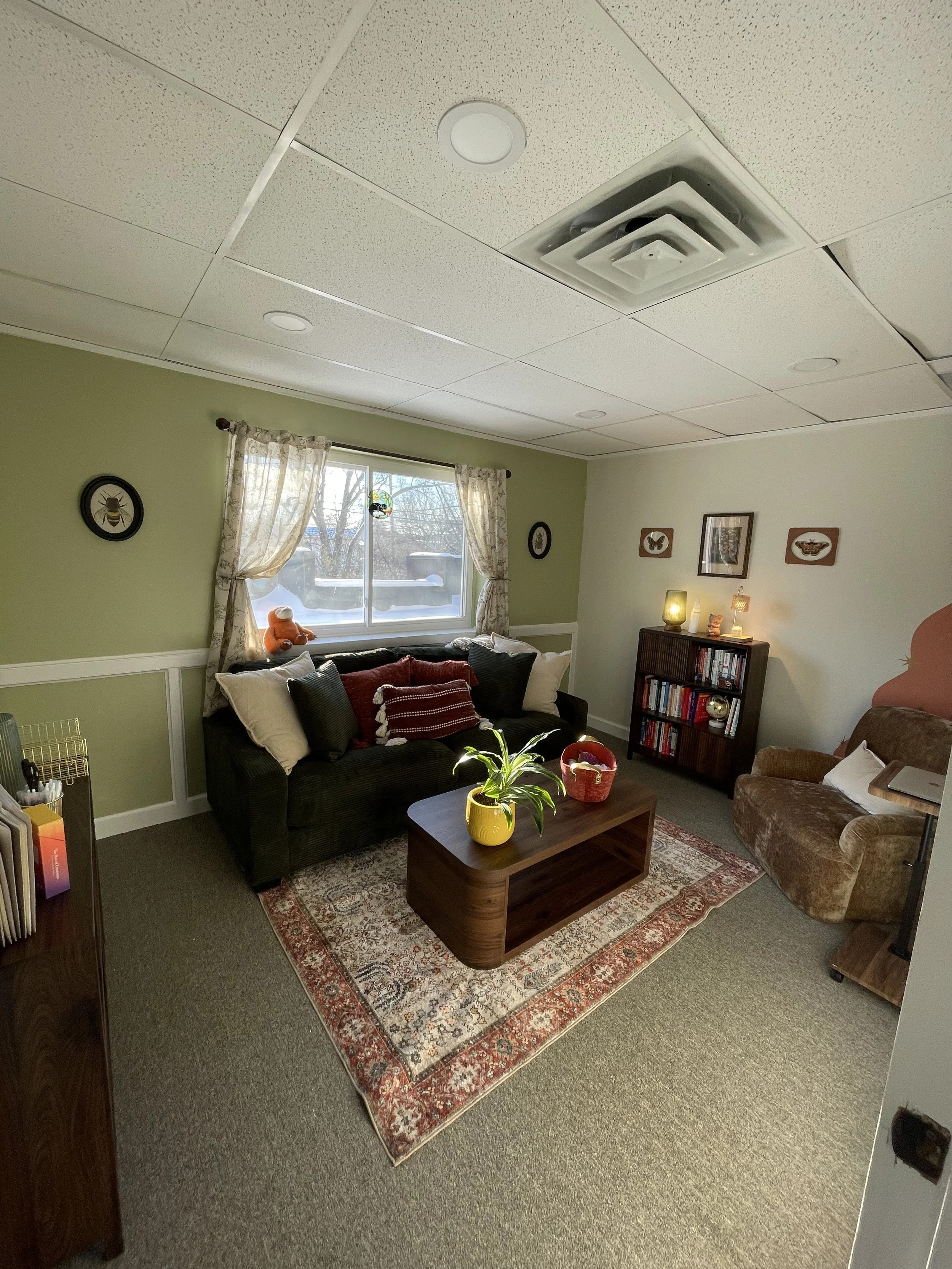 A cozy living room with a window, green and white walls, a black sofa with pillows, a wooden bookshelf with books, a brown armchair, a wooden coffee table with a plant, decorative wall art, and warm lighting.