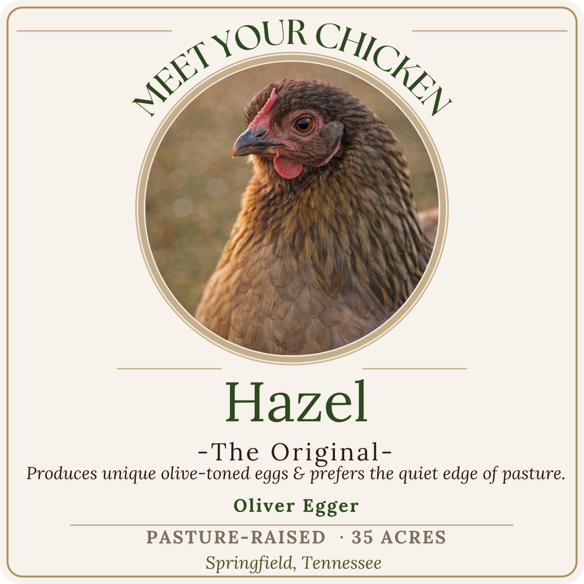 A label featuring a close-up image of a hen with brown feathers, red comb, and wattles. The text reads: "Meet Your Chicken Hazel - The Original - Produces unique olive-toned eggs & prefers the quiet edge of pasture. Oliver Egger. Pasture-raised, 35 a