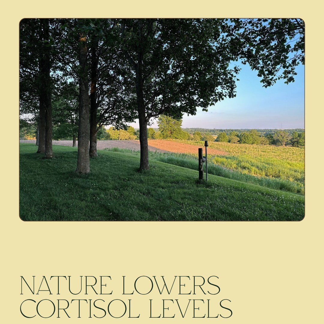Not a ropes course. Not a conference room with a nicer view.

A leadership day at In Her Element is a genuine investment in the people leading your organization.

What your leadership team gets:

A full evening and morning of intentional restoration
