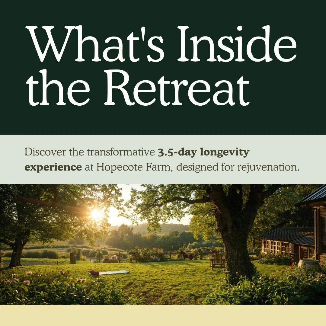 The 3.5-Day Longevity Retreat isn't a schedule of activities.

It's a carefully sequenced physiological experience designed to give your body what it's been asking for.

What's included across your stay:

Daily nature immersion -- structured farm wal