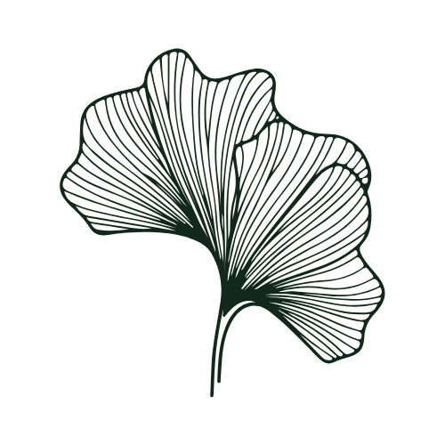 A dark green ginkgo leaf with detailed vein patterns on a black background.