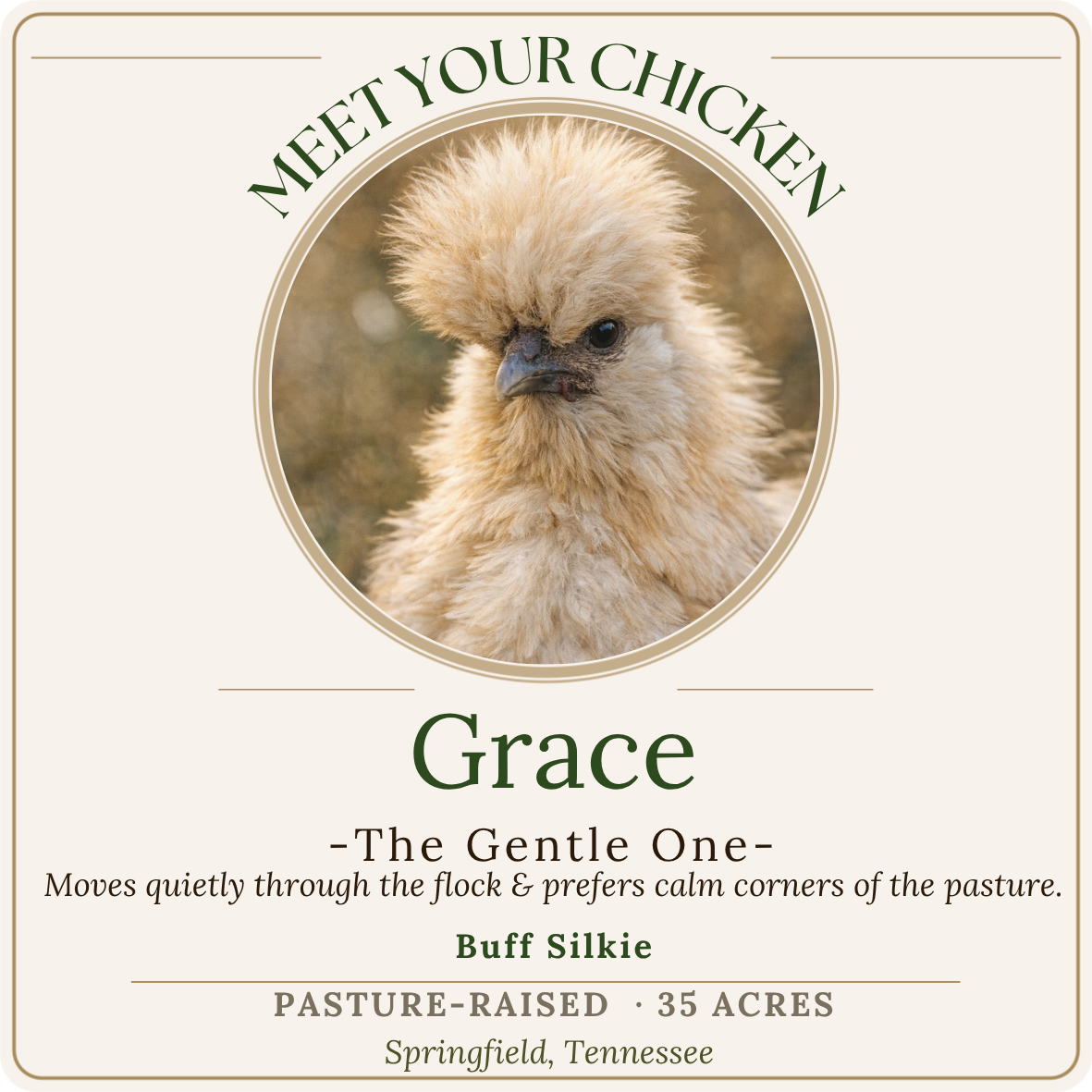 A chick with fluffy, light tan feathers and a serious expression, positioned in the center of a label for a chicken named Grace. The label includes text about the chicken's personality, breed, size, pasture location, and farm details.