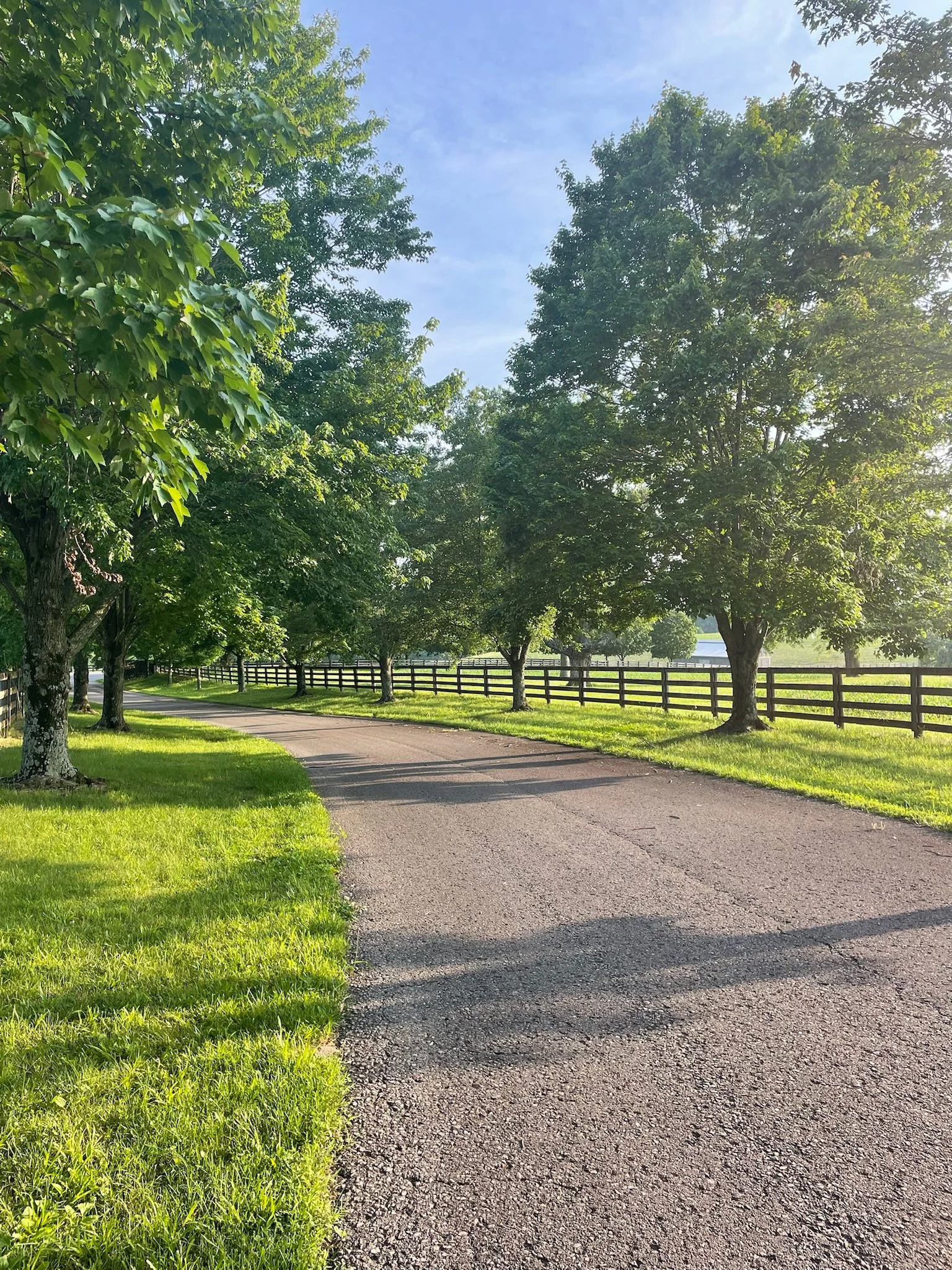 A winding driveway passing through lush green grass and trees, with a wooden fence lining the right side. Clear blue sky with some clouds above.