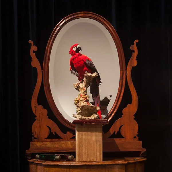 VIEW : Time Peace Alter