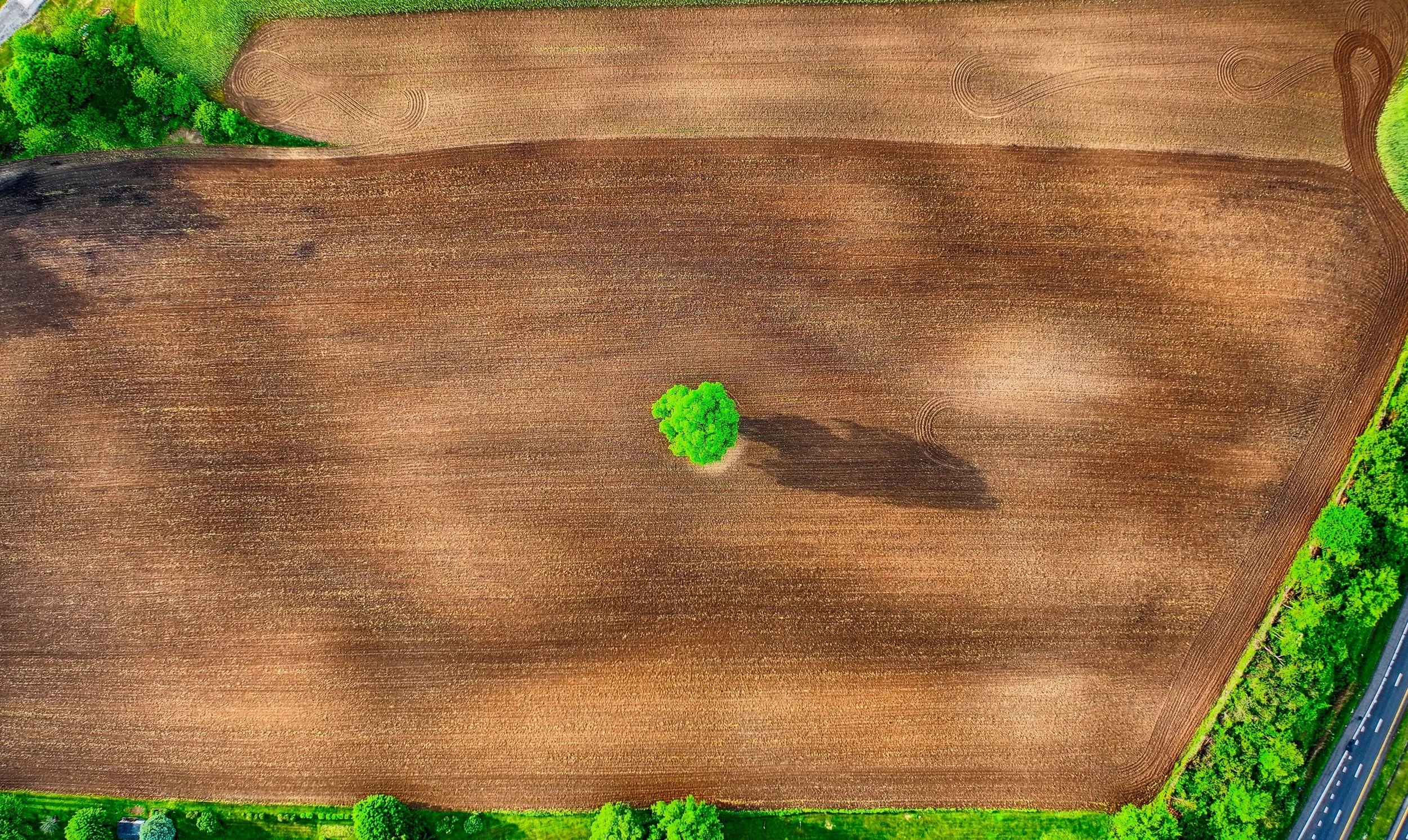 DJI_20240521185007_0232_D-HDR~2 (1).jpg
