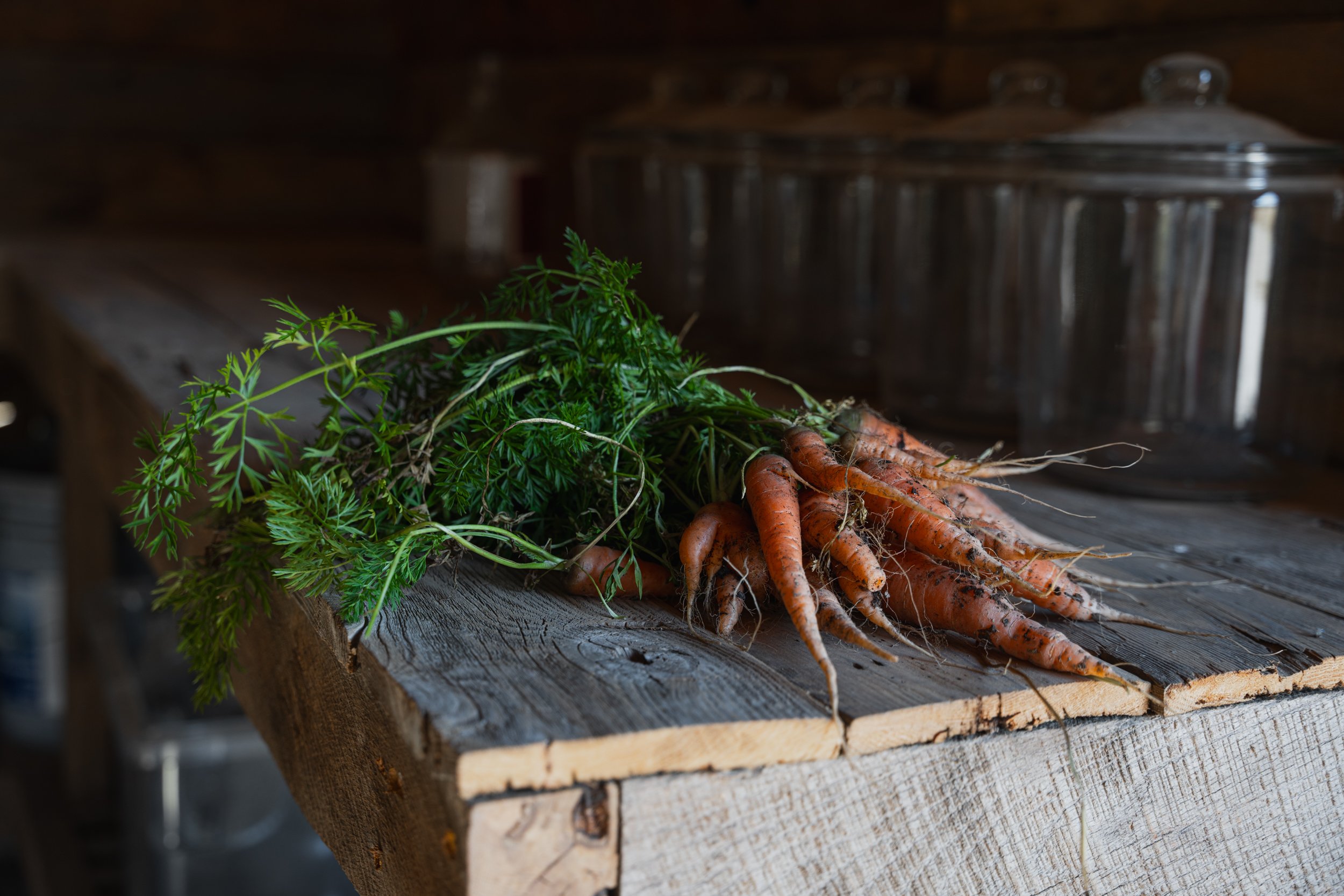 A bunch of fresh carrots with green leafy tops resting on a rustic wooden table in a kitchen setting.