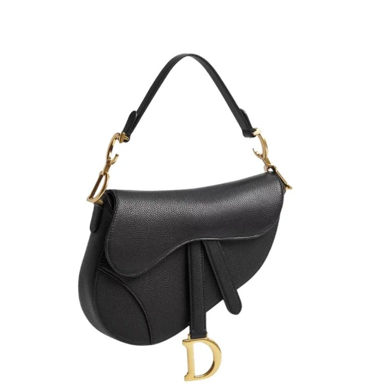 Dior | Mini Saddle Bag