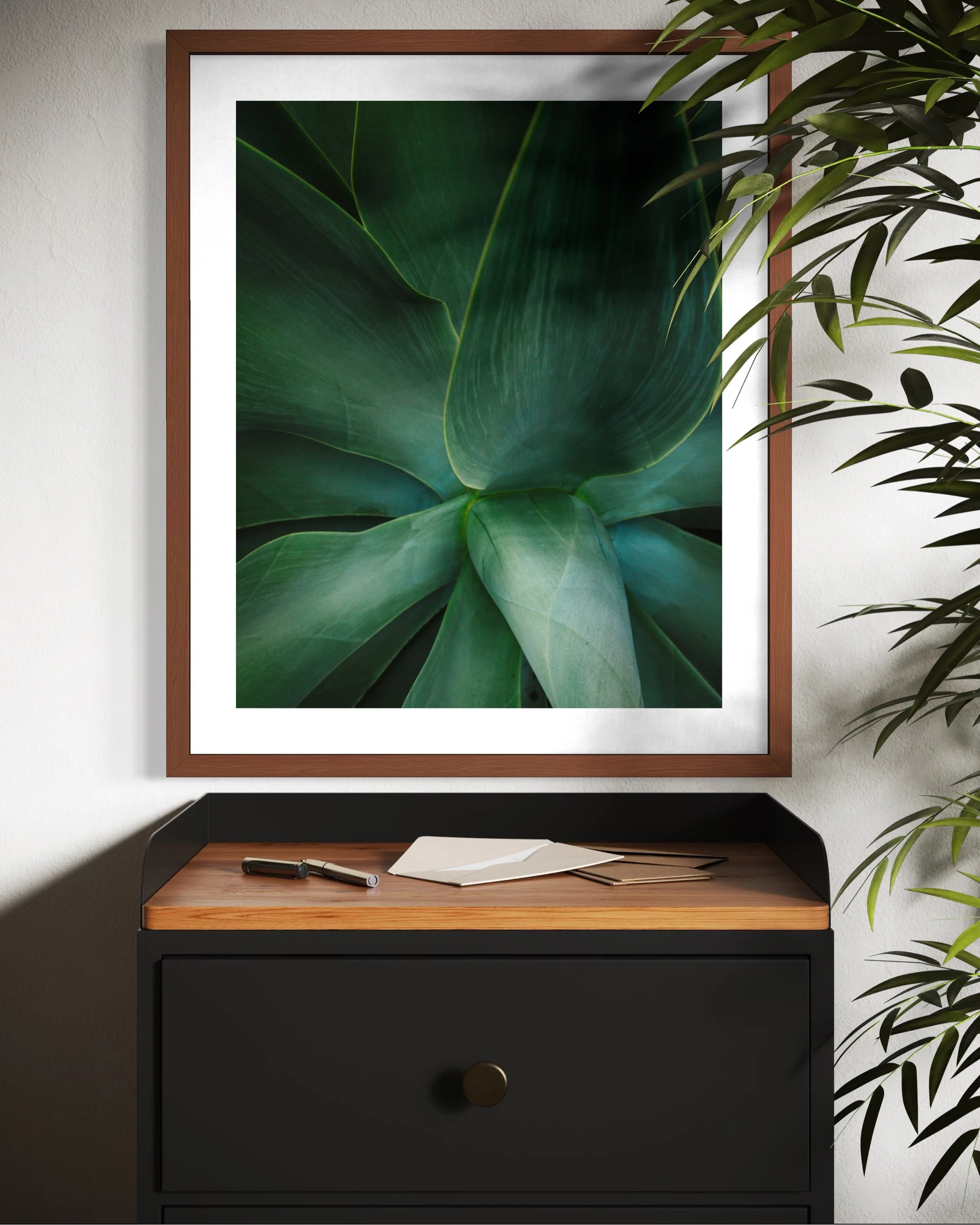 Abstract Plant.jpg